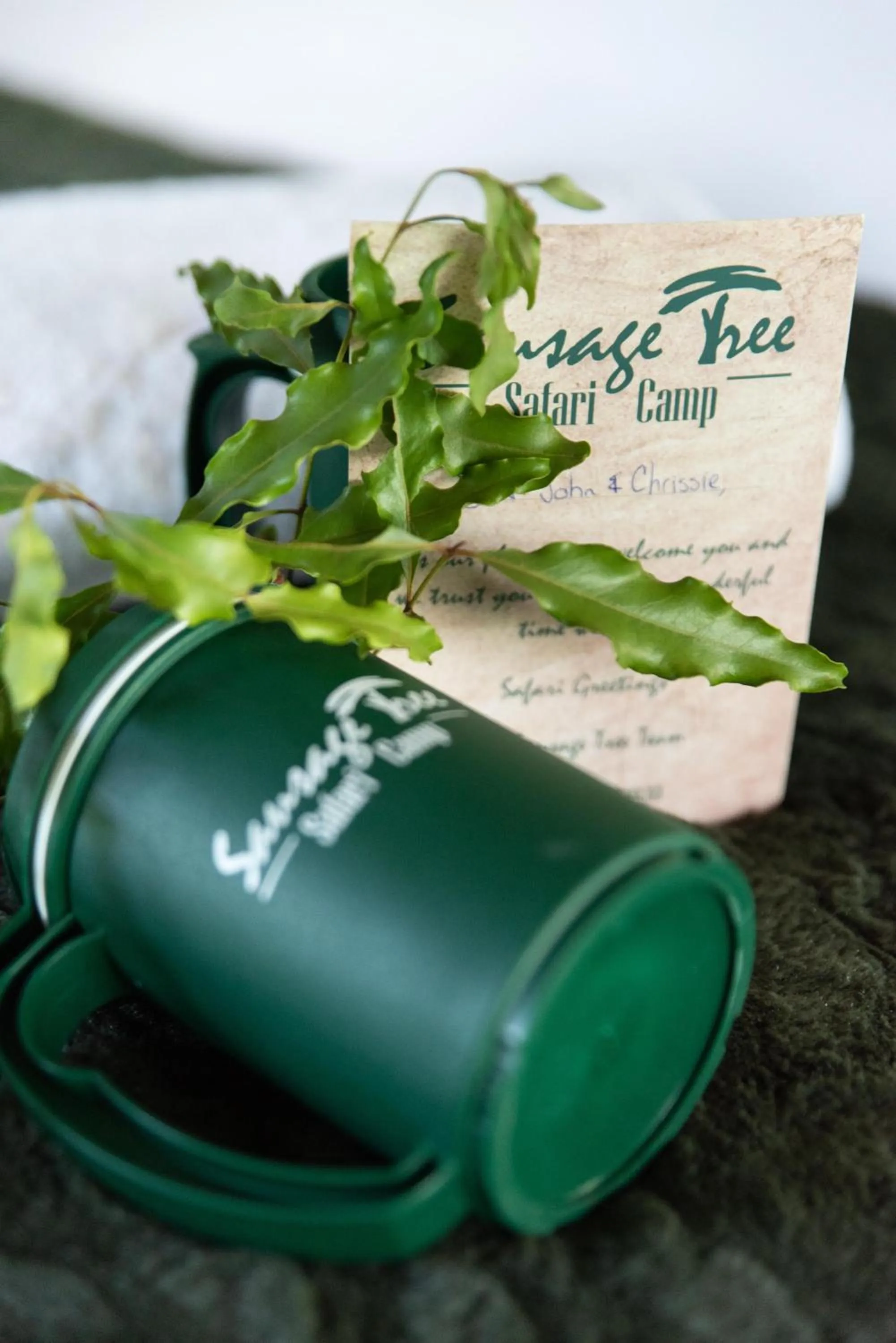 Other in Sausage Tree Safari Camp