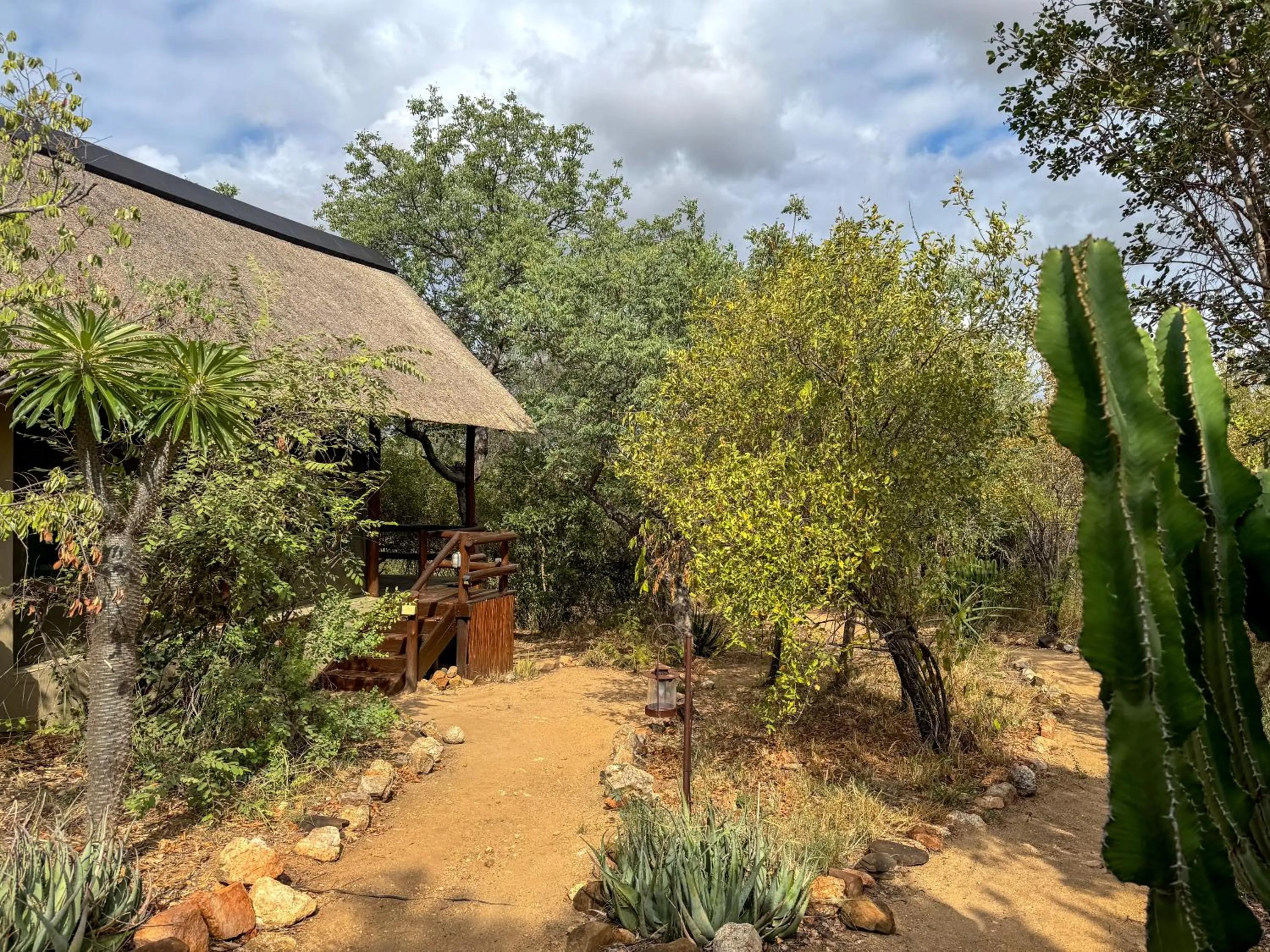 Garden view in Sausage Tree Safari Camp