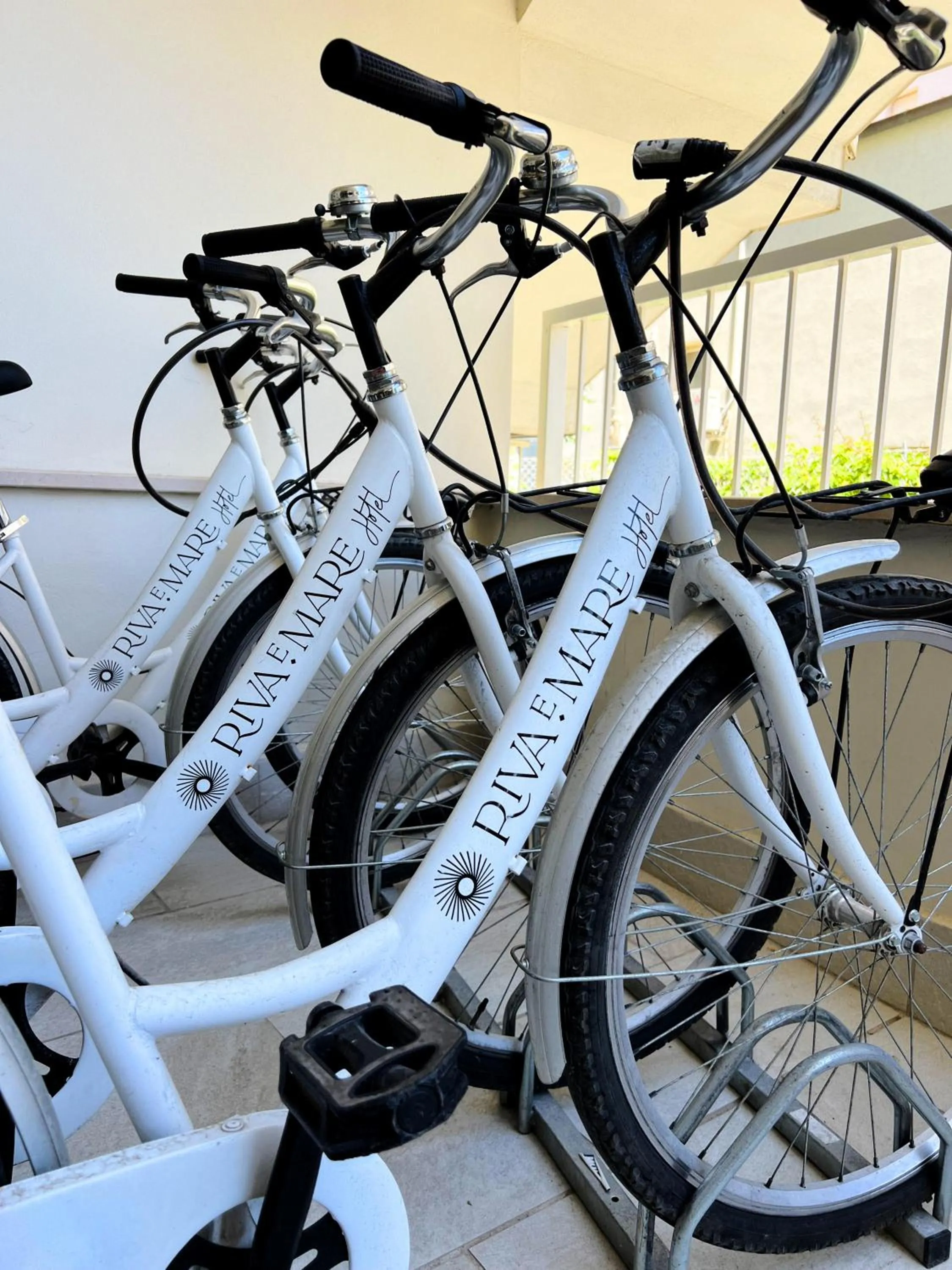 Cycling in Hotel Riva e Mare