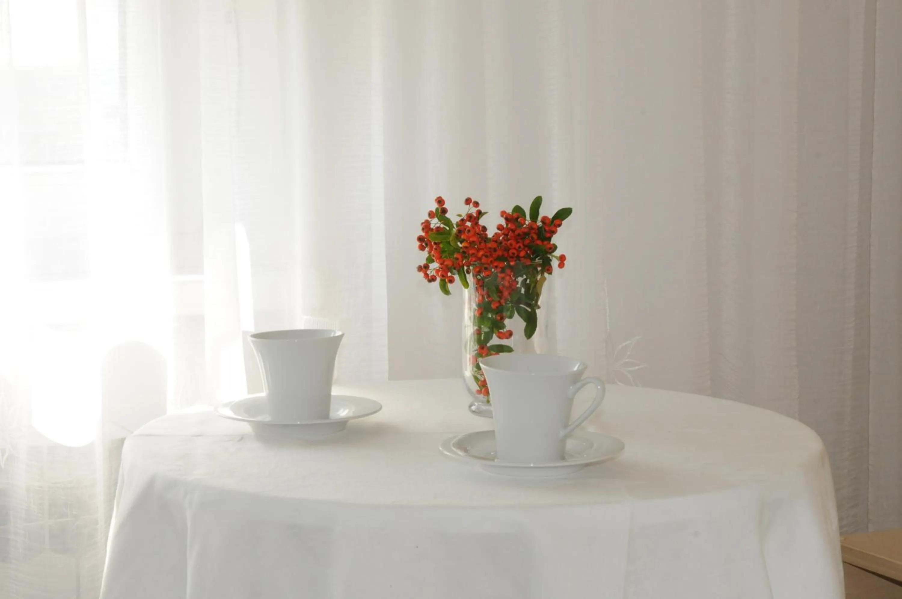 Rooms Stella