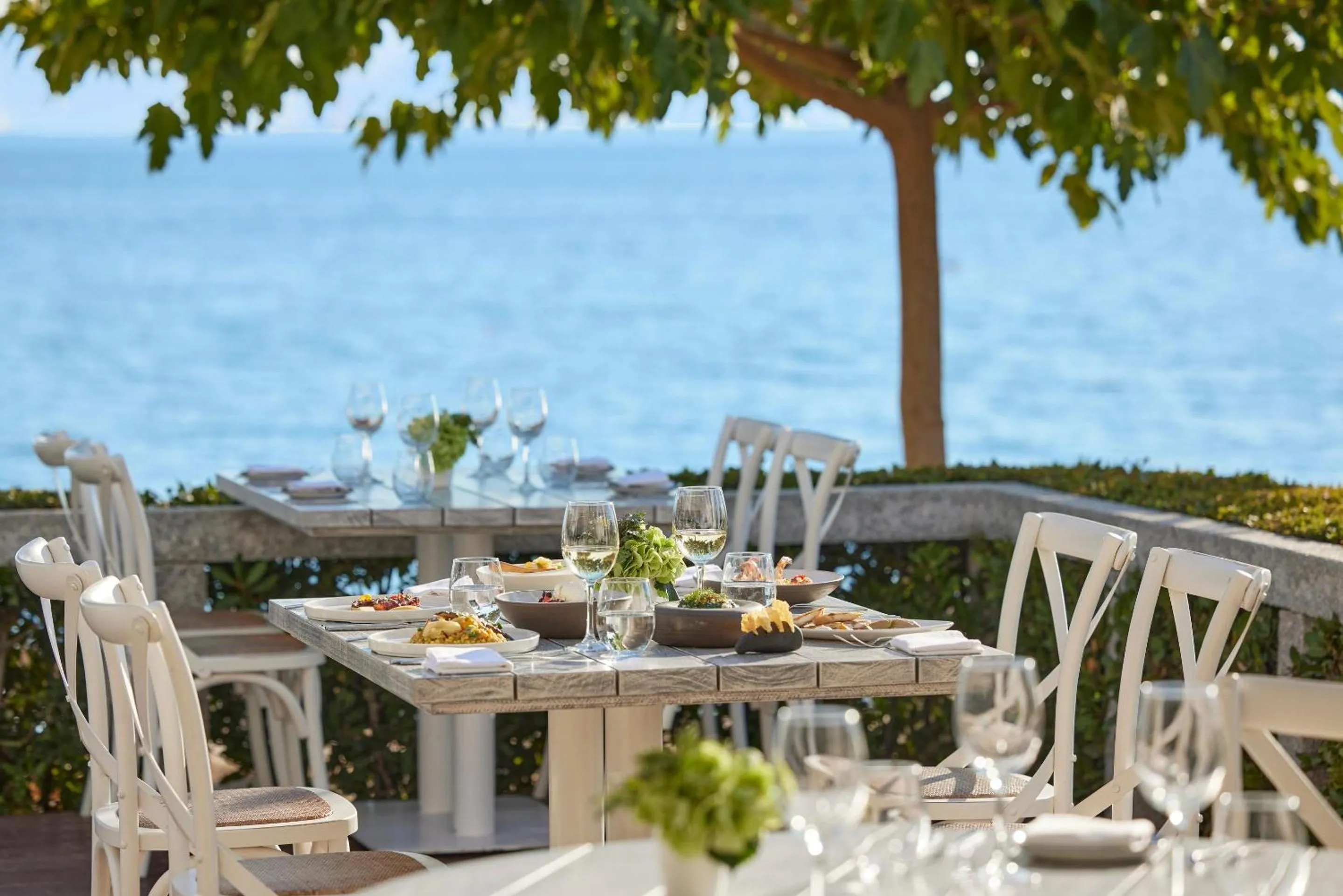 Restaurant/places to eat in Ikos Olivia