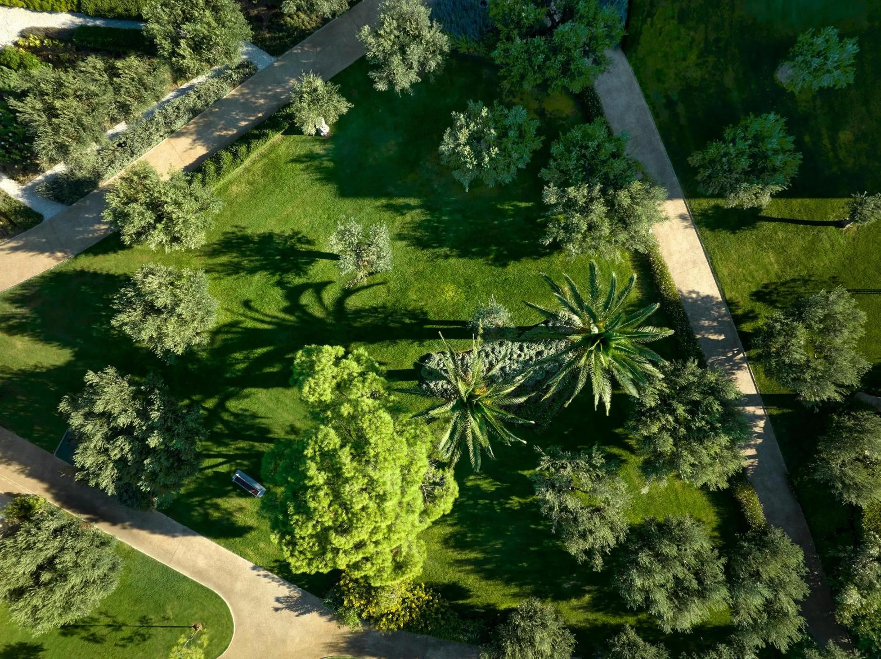 Garden in Ikos Olivia