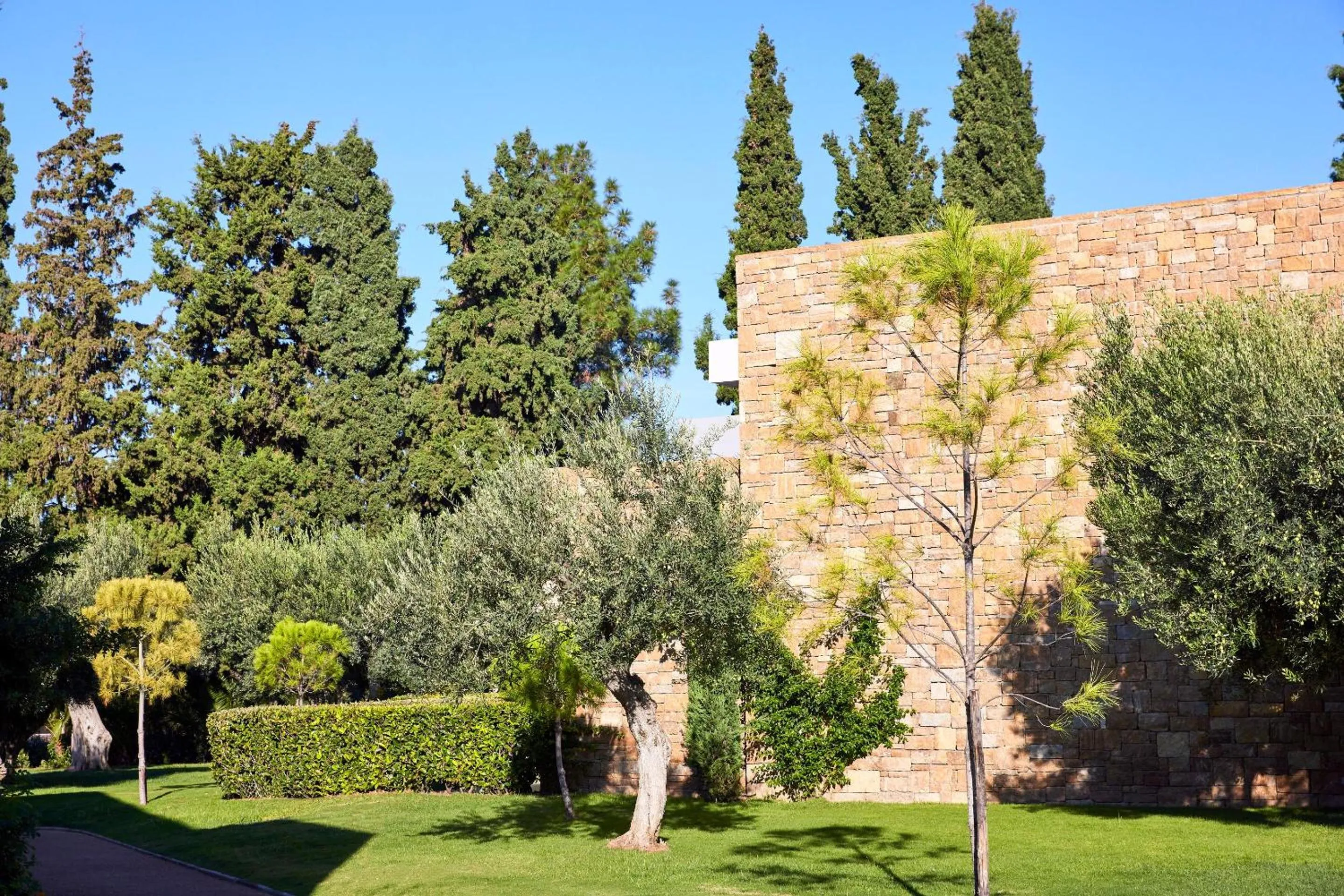 Garden in Ikos Olivia