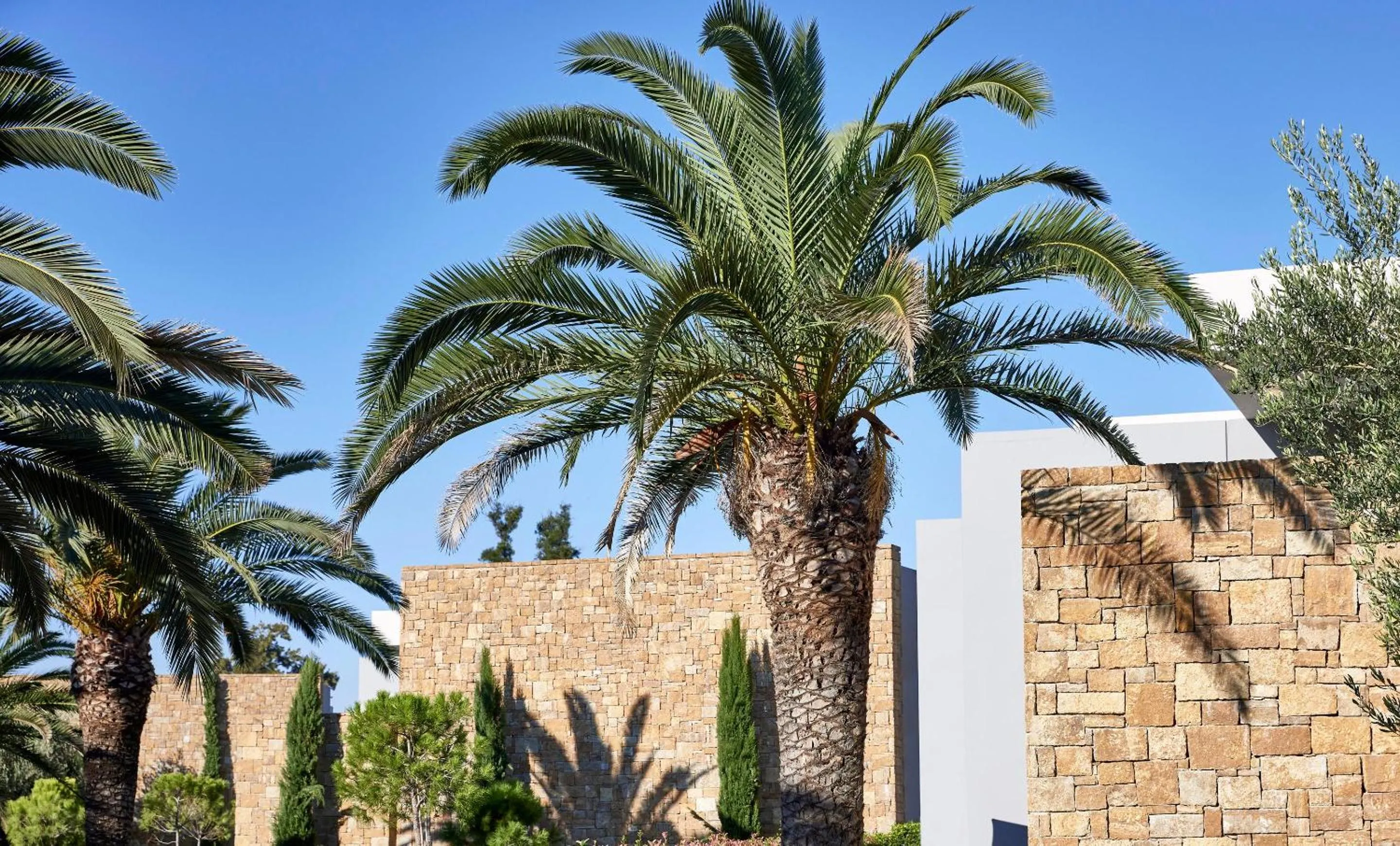 Garden in Ikos Olivia