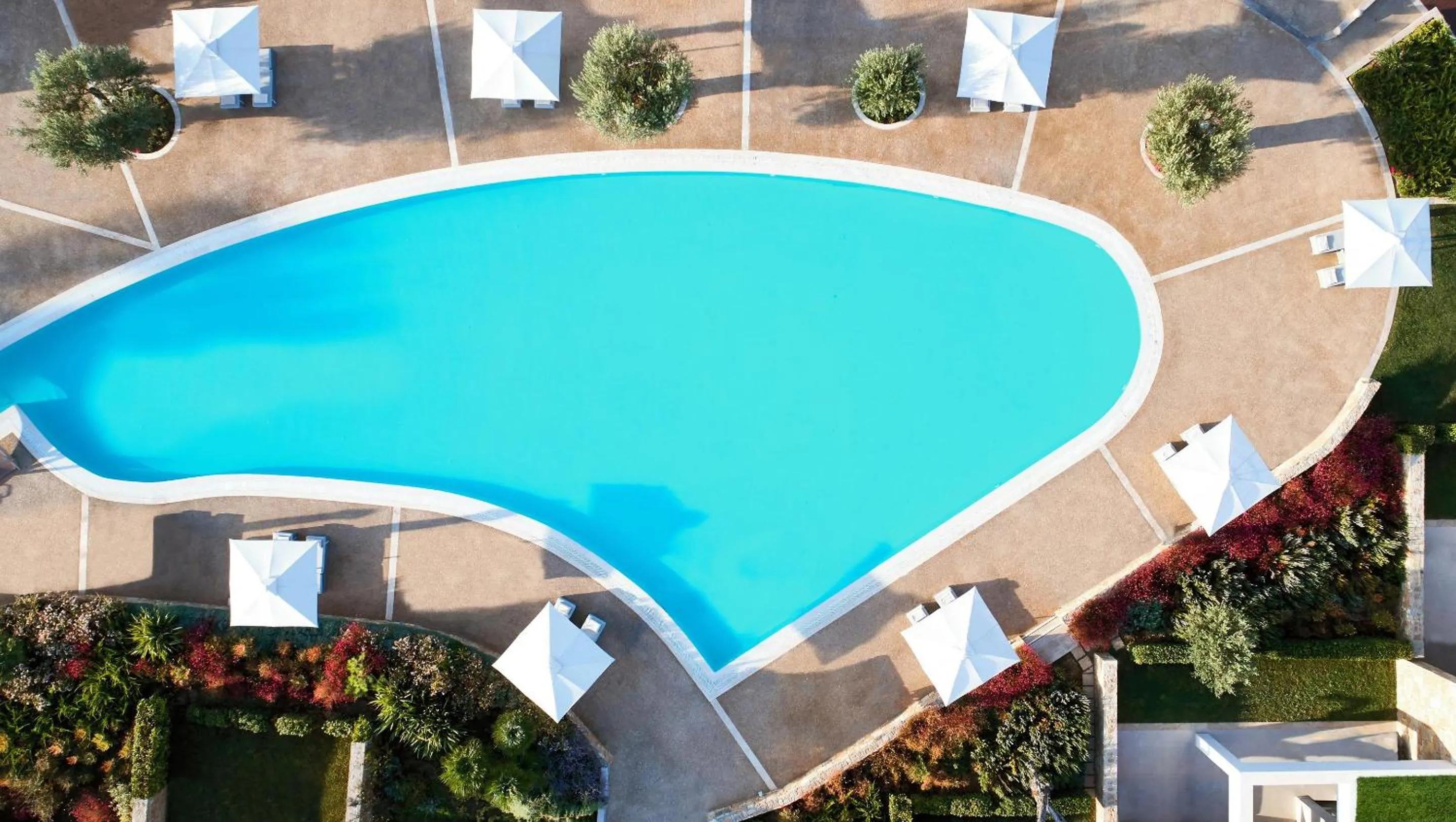 Swimming pool in Ikos Olivia