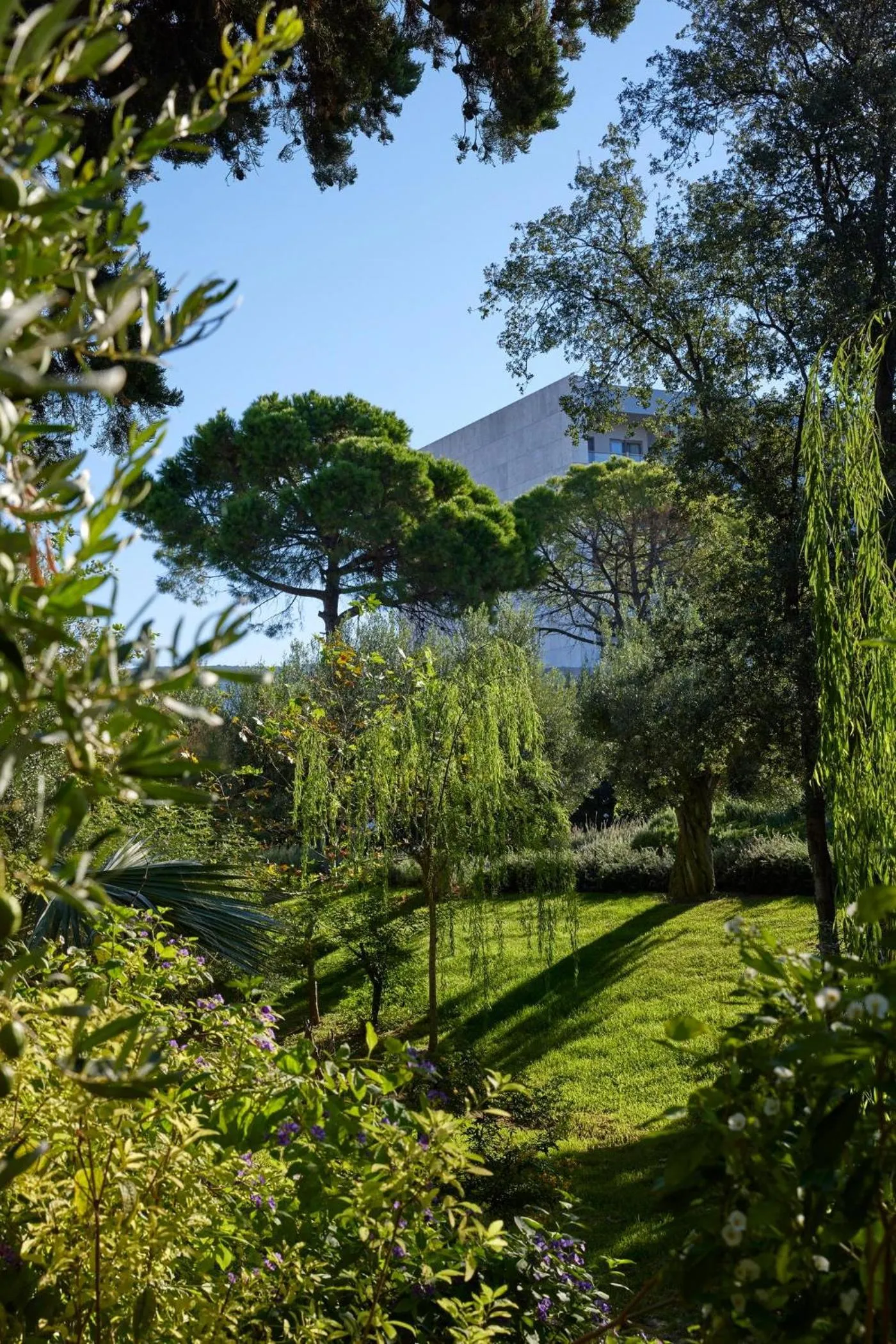 Garden in Ikos Olivia