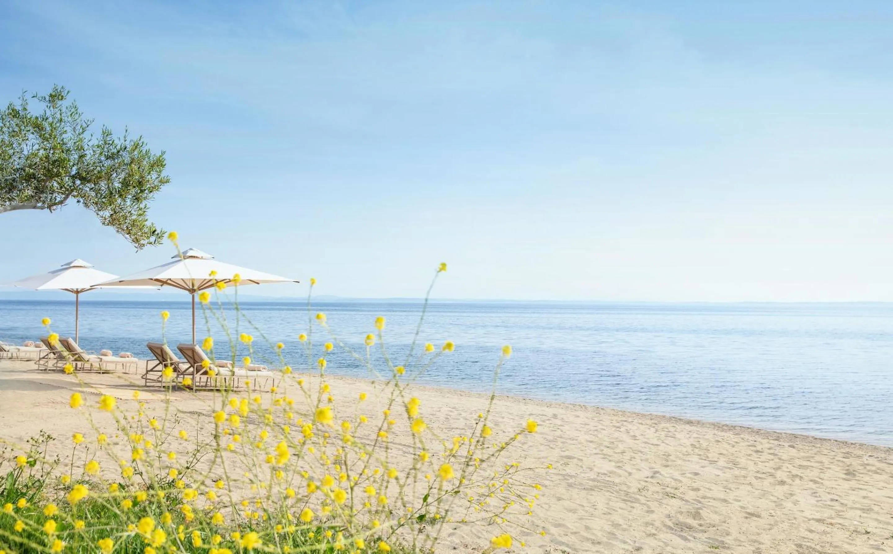 Beach in Ikos Olivia