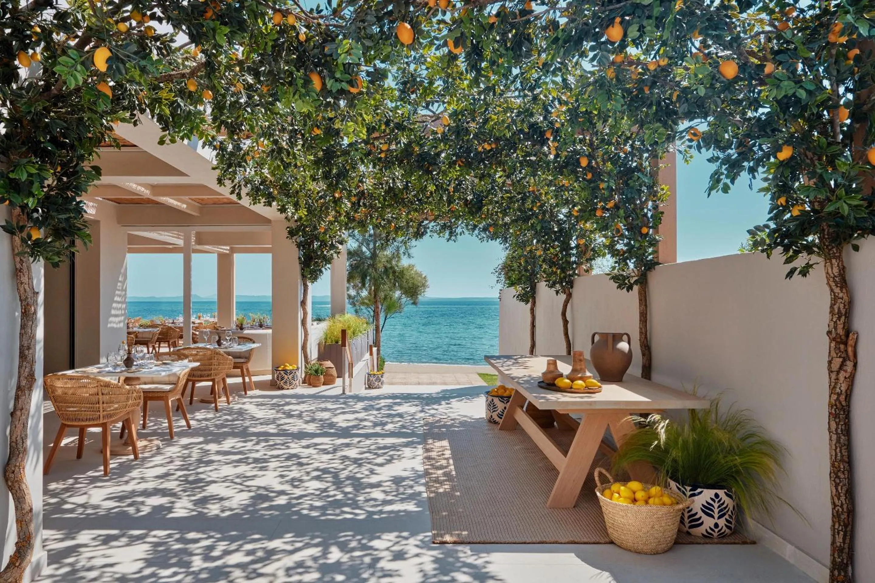 Restaurant/places to eat in Ikos Olivia