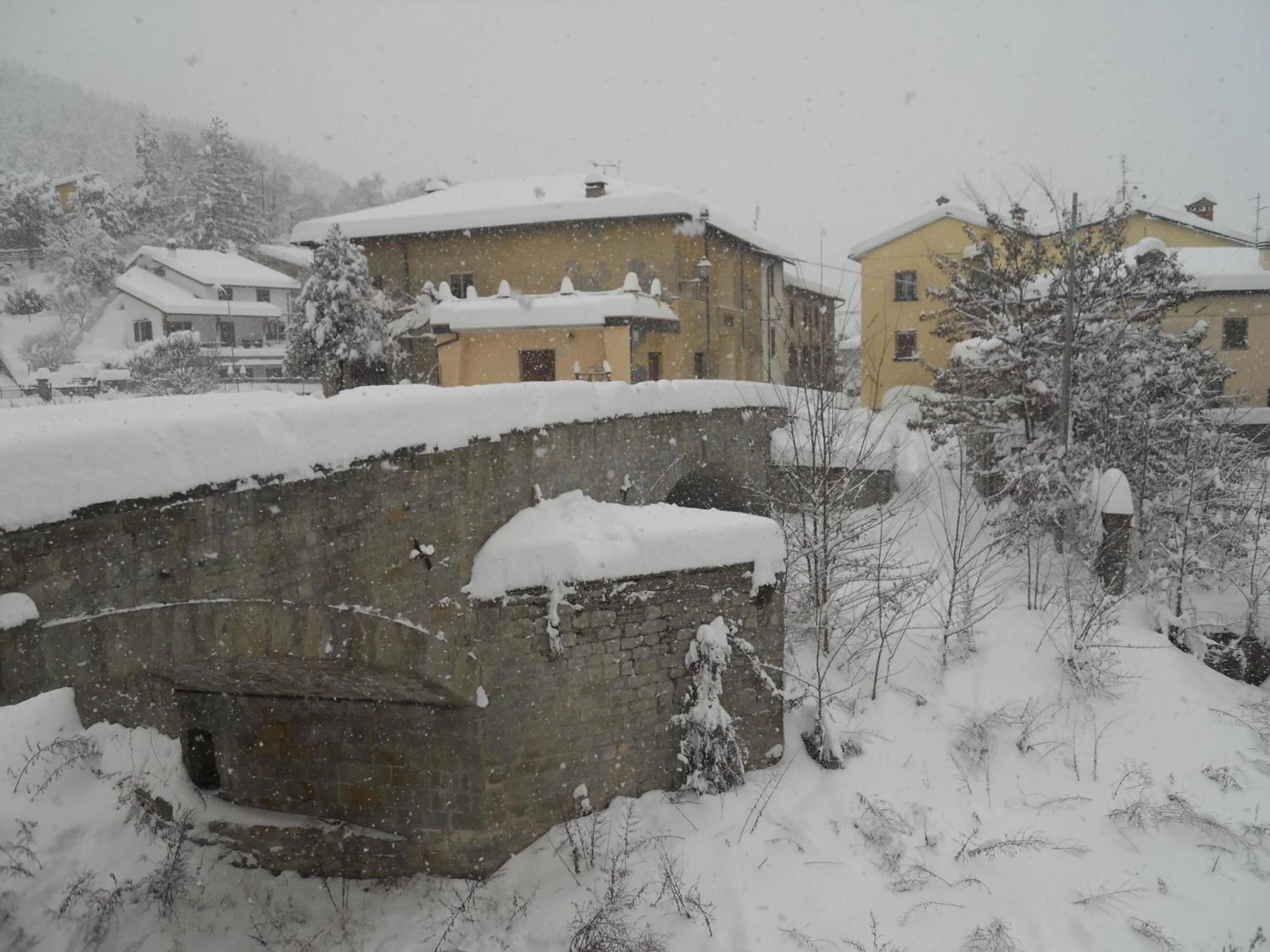 Area and facilities in Albergo del Ponte
