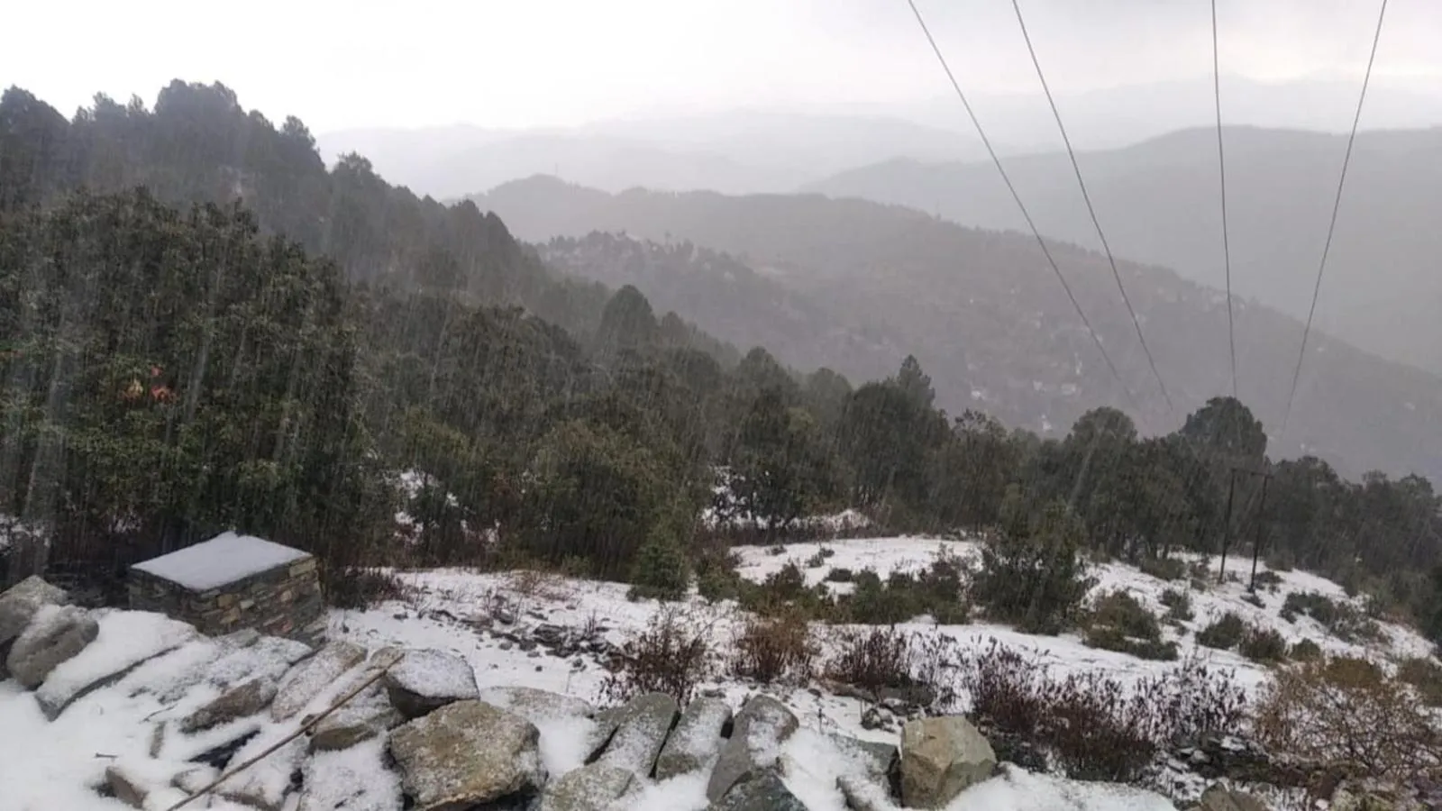 Winter in Essence of Nature, Ranikhet
