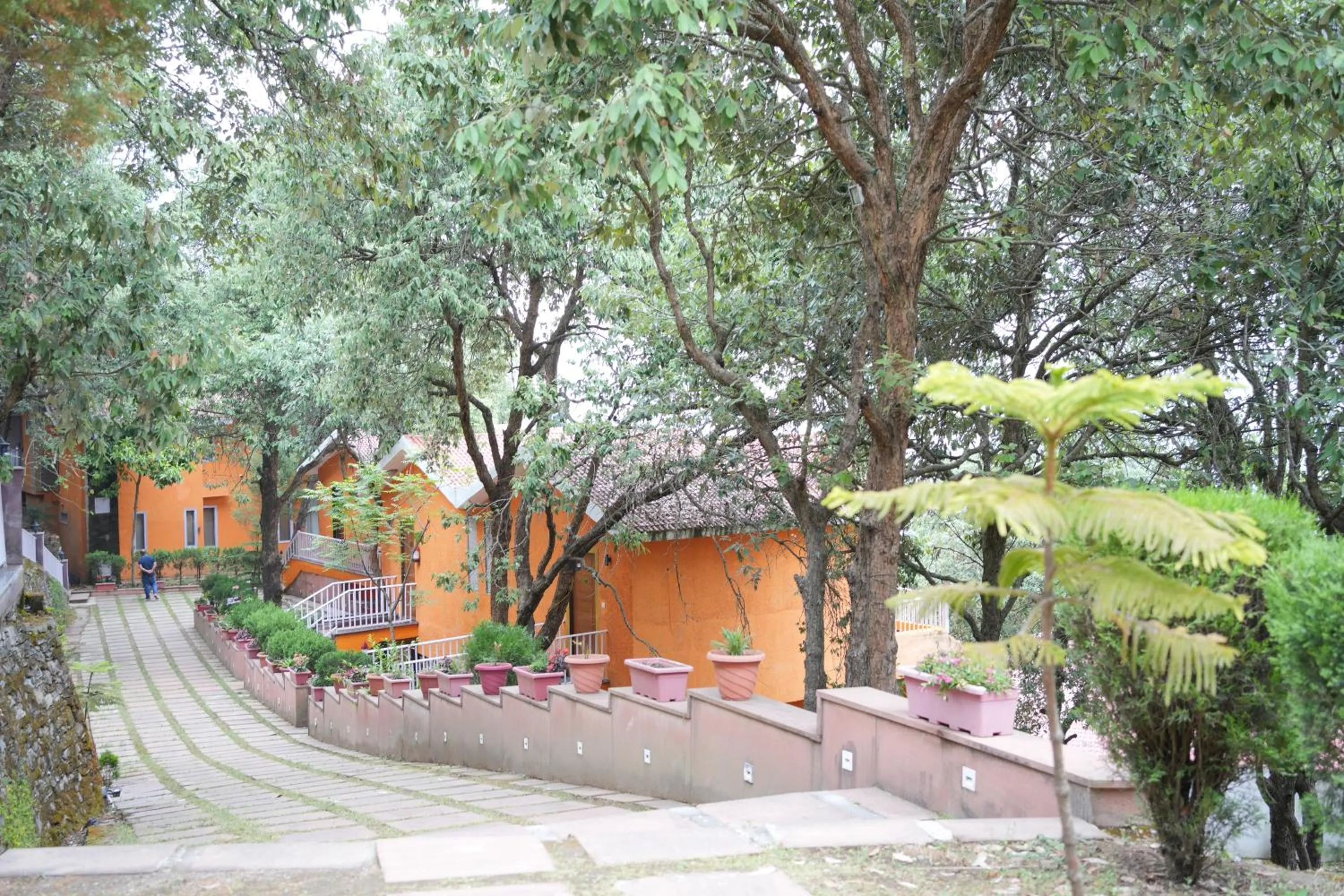 Garden in Essence of Nature, Ranikhet