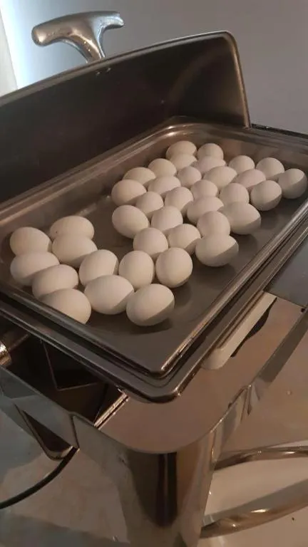 Restaurant/places to eat in Conord Hotel