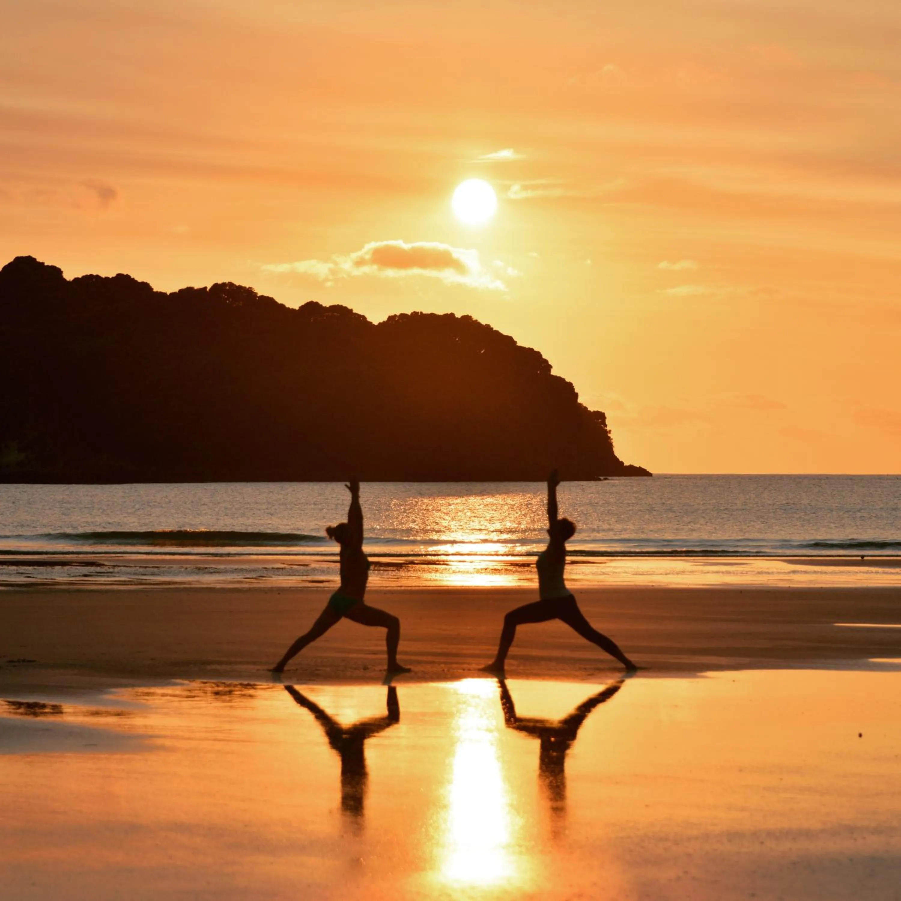 Natural landscape in Palm Pacific Resort & Motel