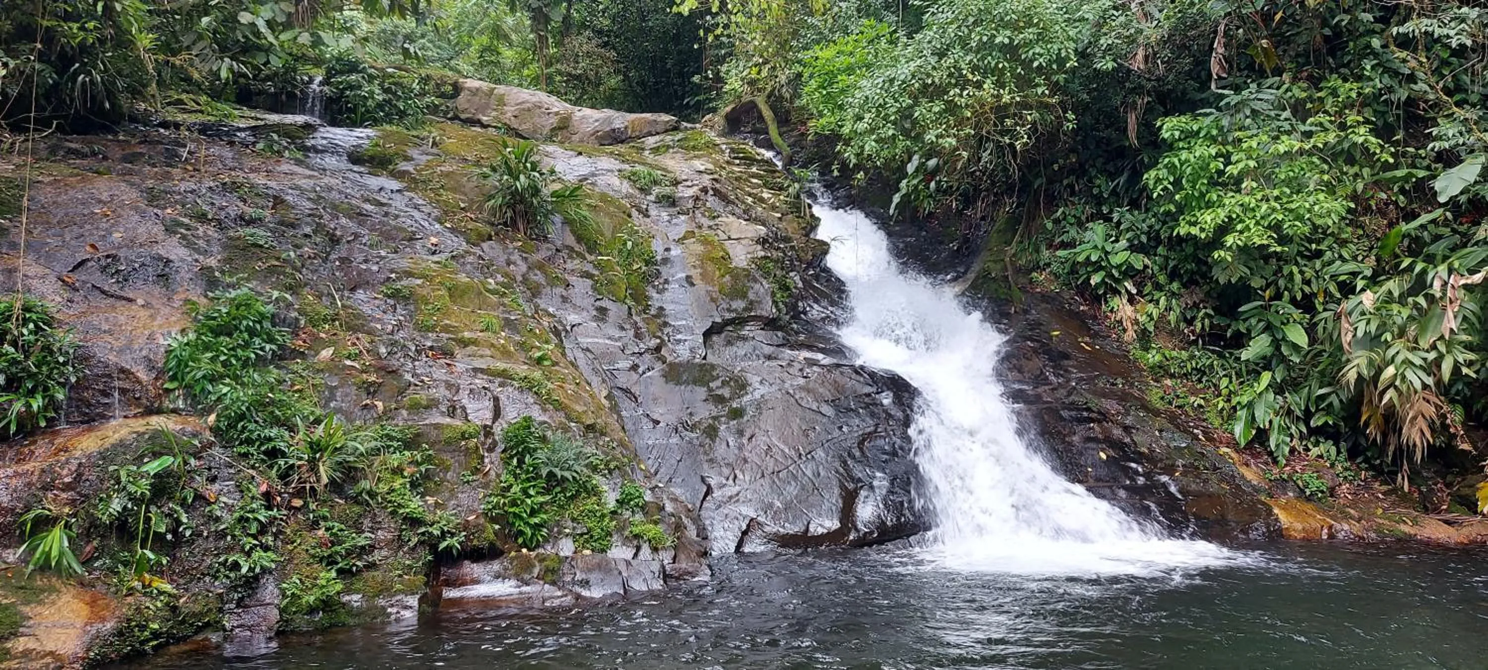 QUINTAL DA MATA