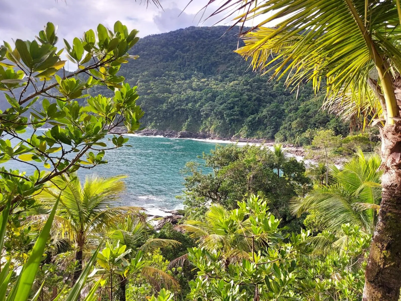 QUINTAL DA MATA