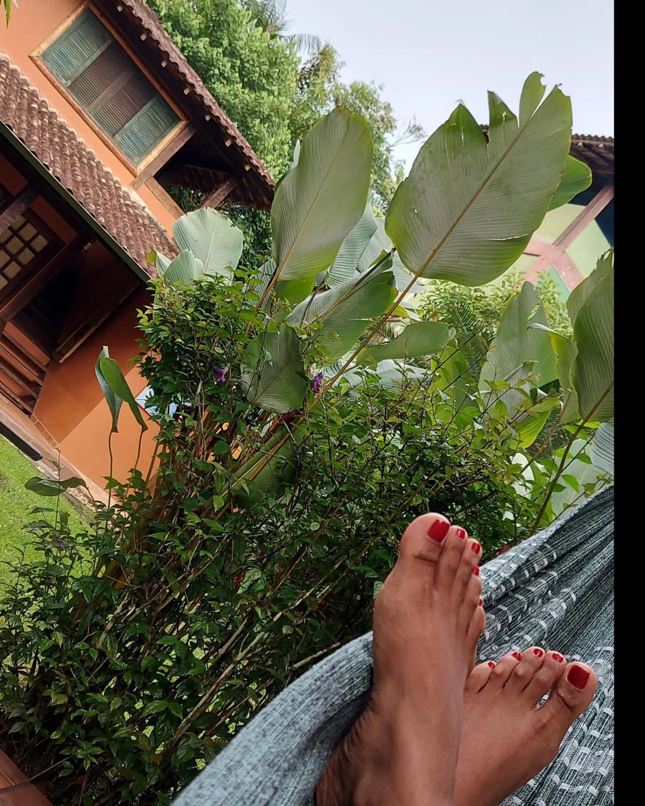 QUINTAL DA MATA