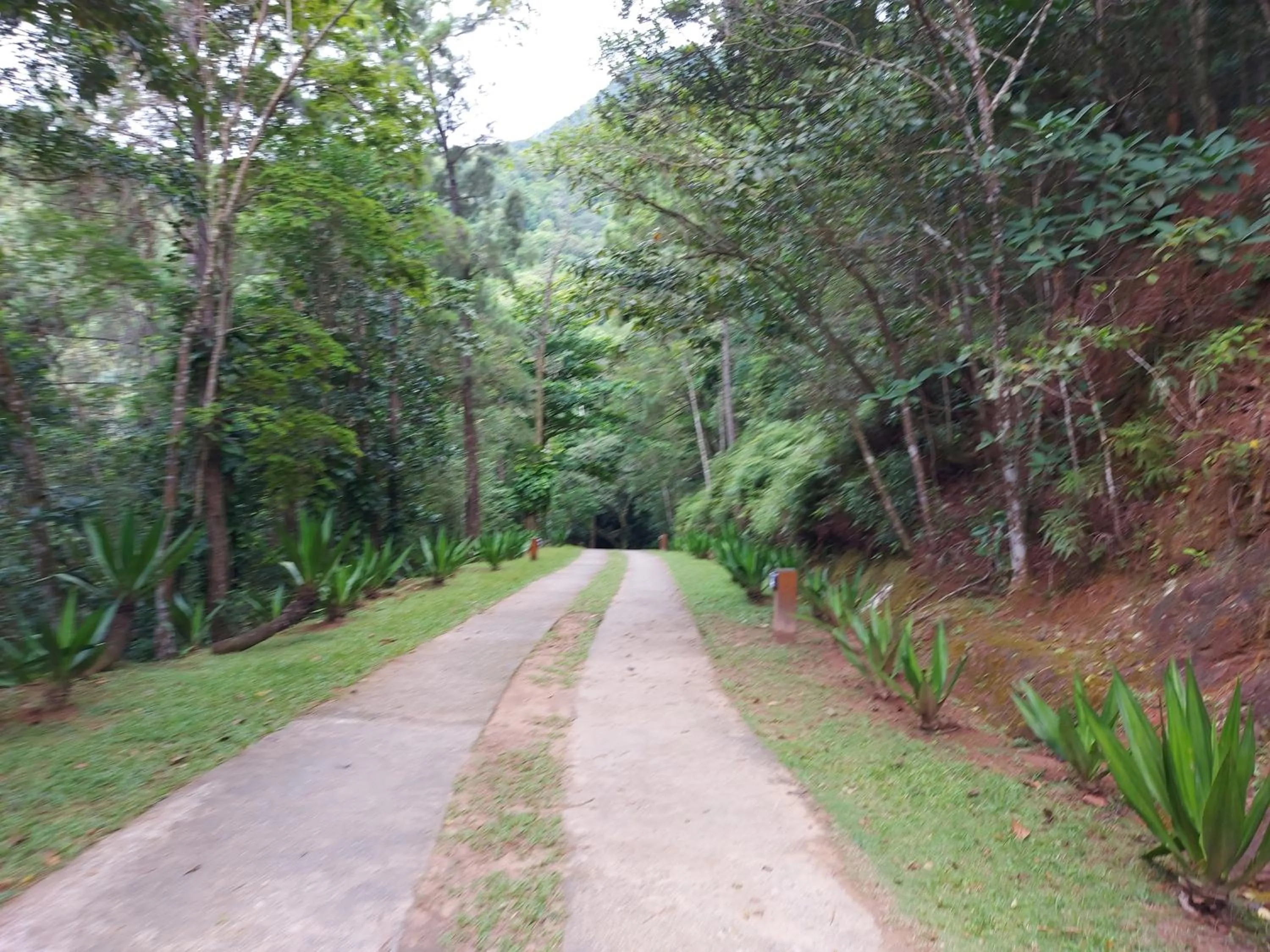 QUINTAL DA MATA