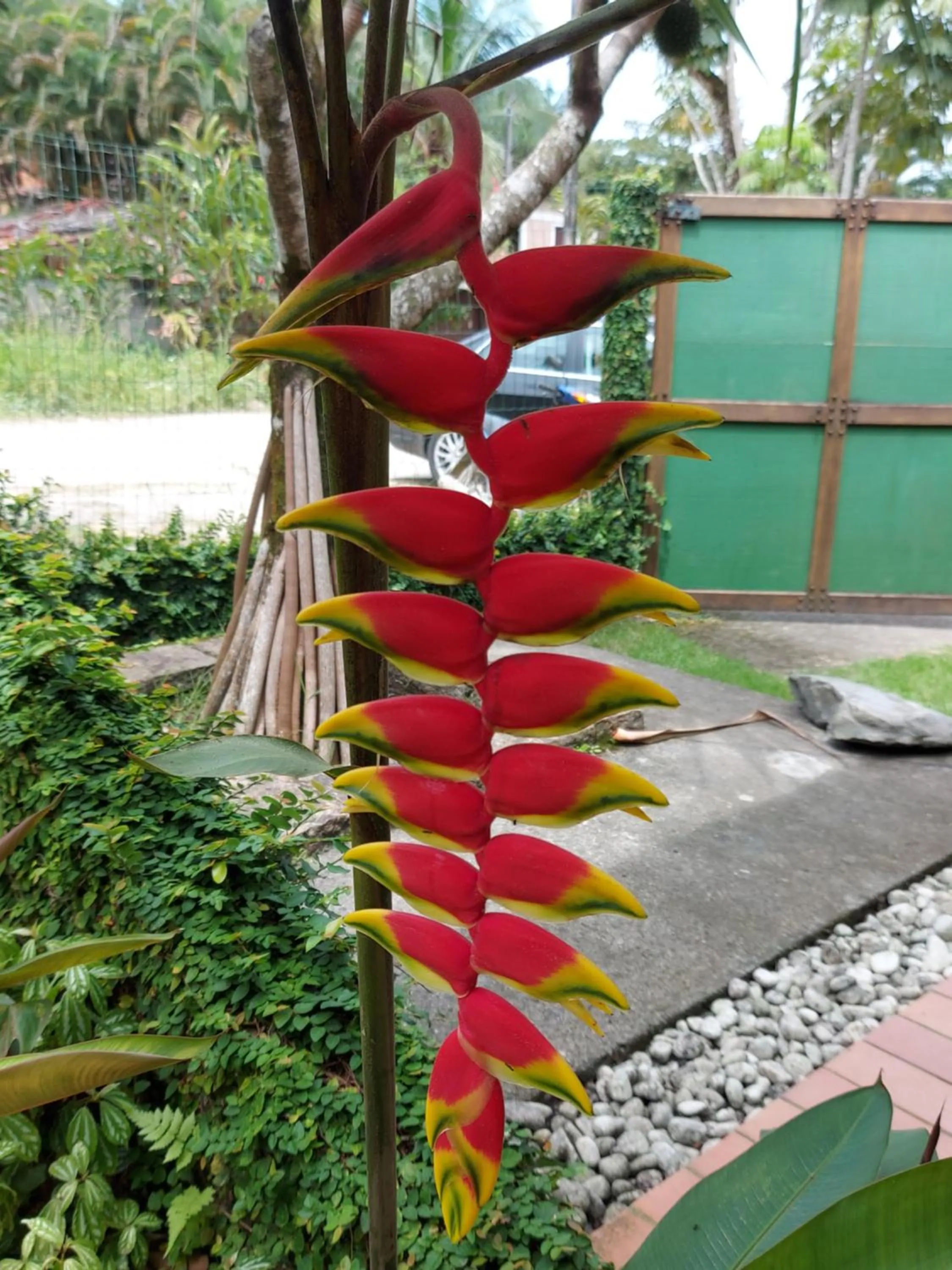 QUINTAL DA MATA