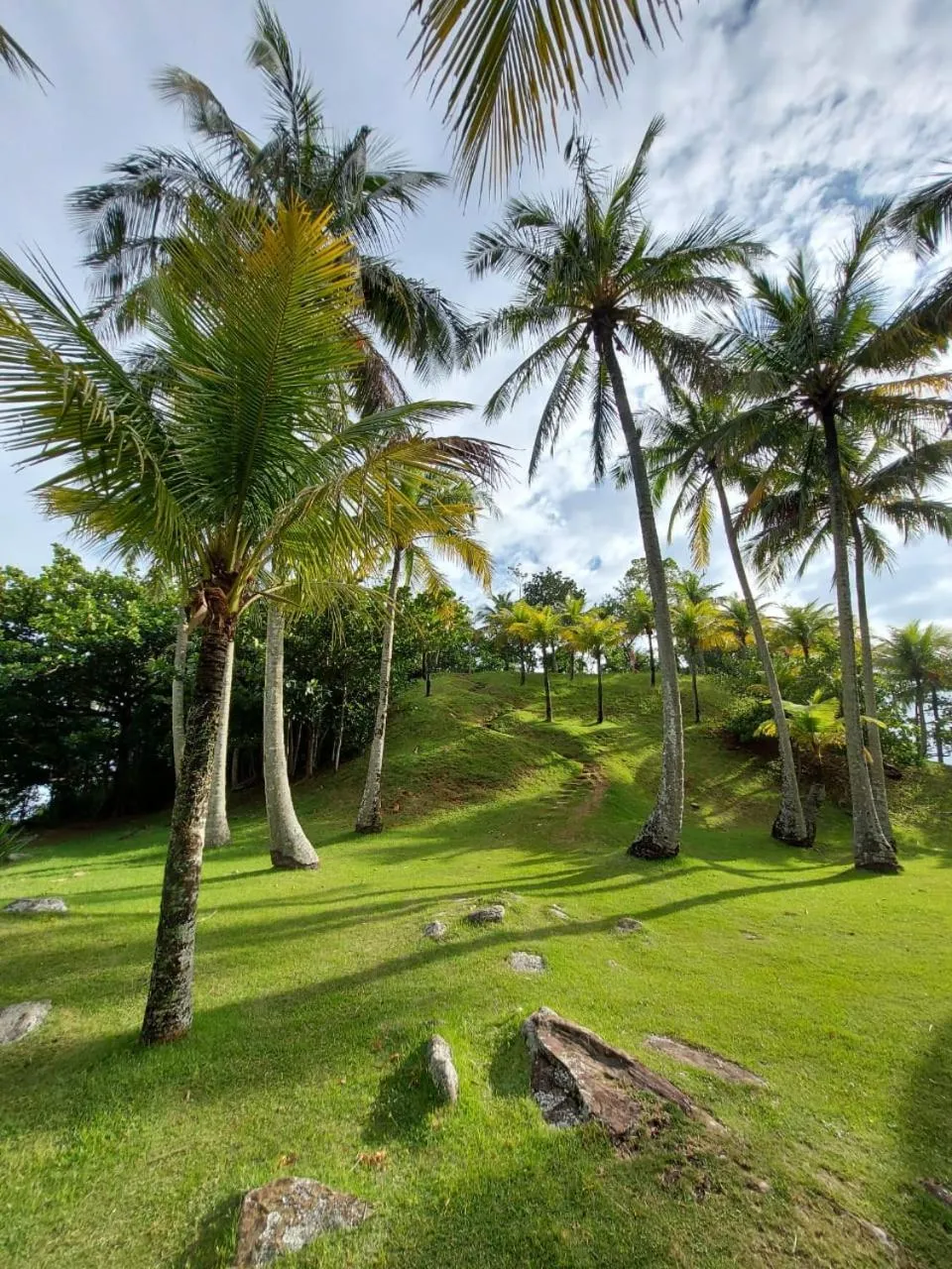 QUINTAL DA MATA