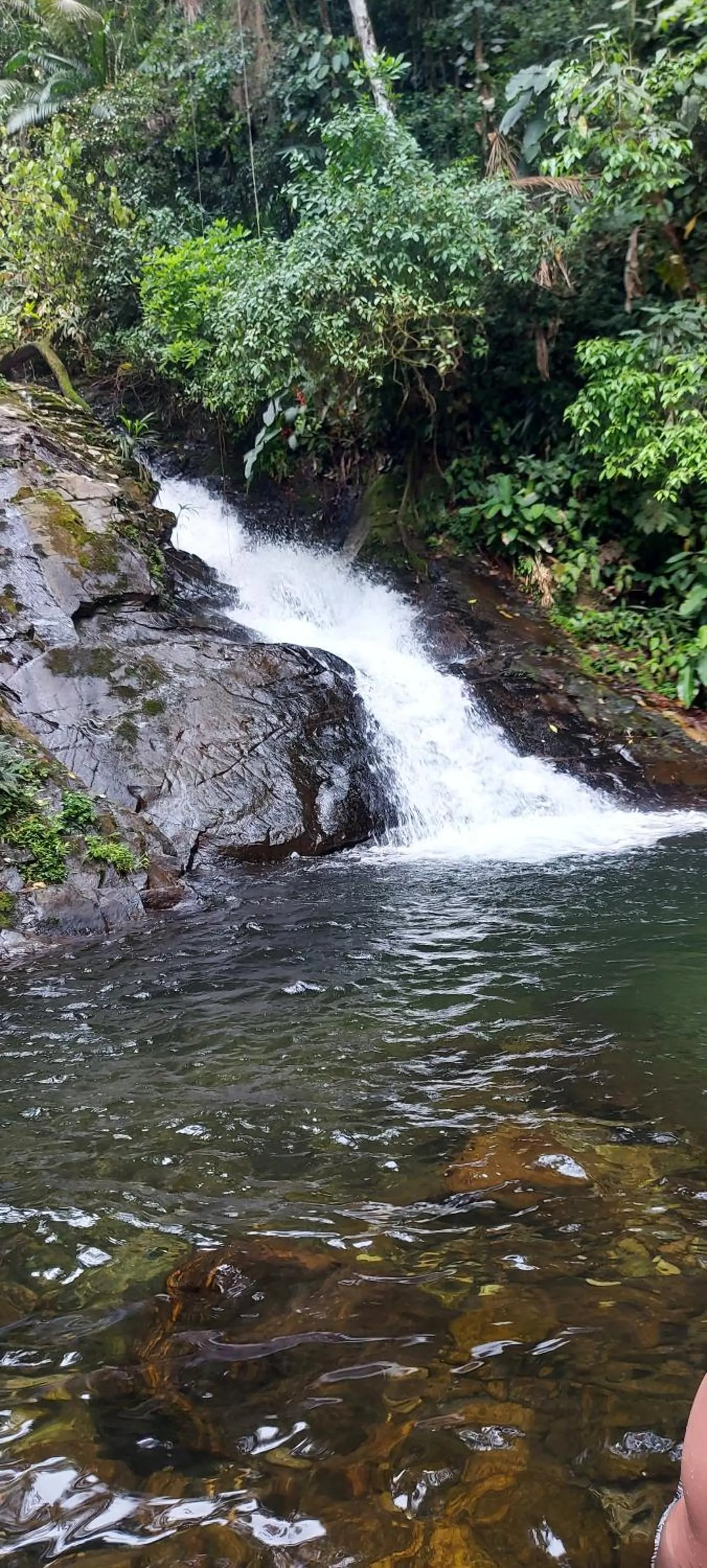 QUINTAL DA MATA