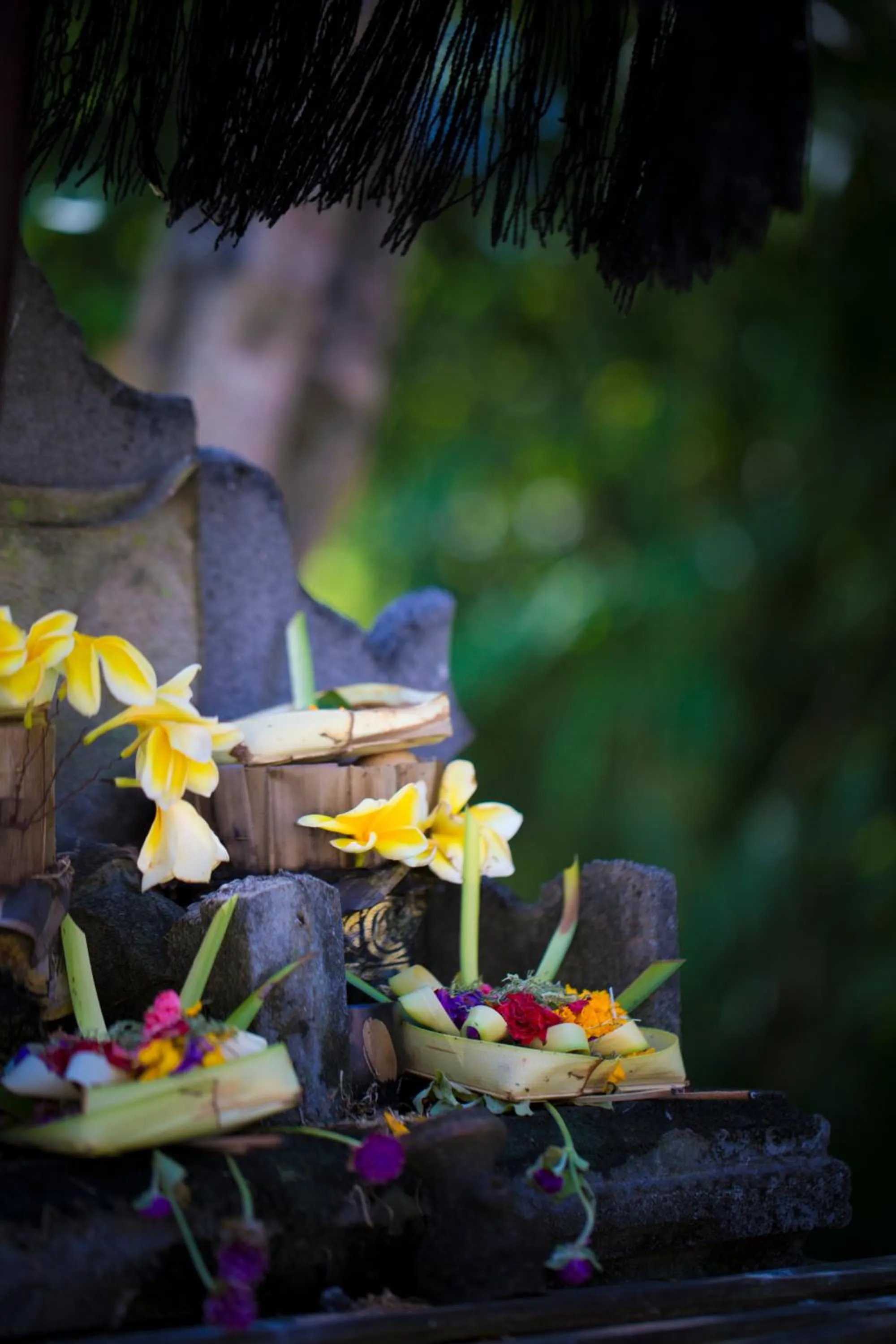 Other in Bali Chaya Hotel Legian