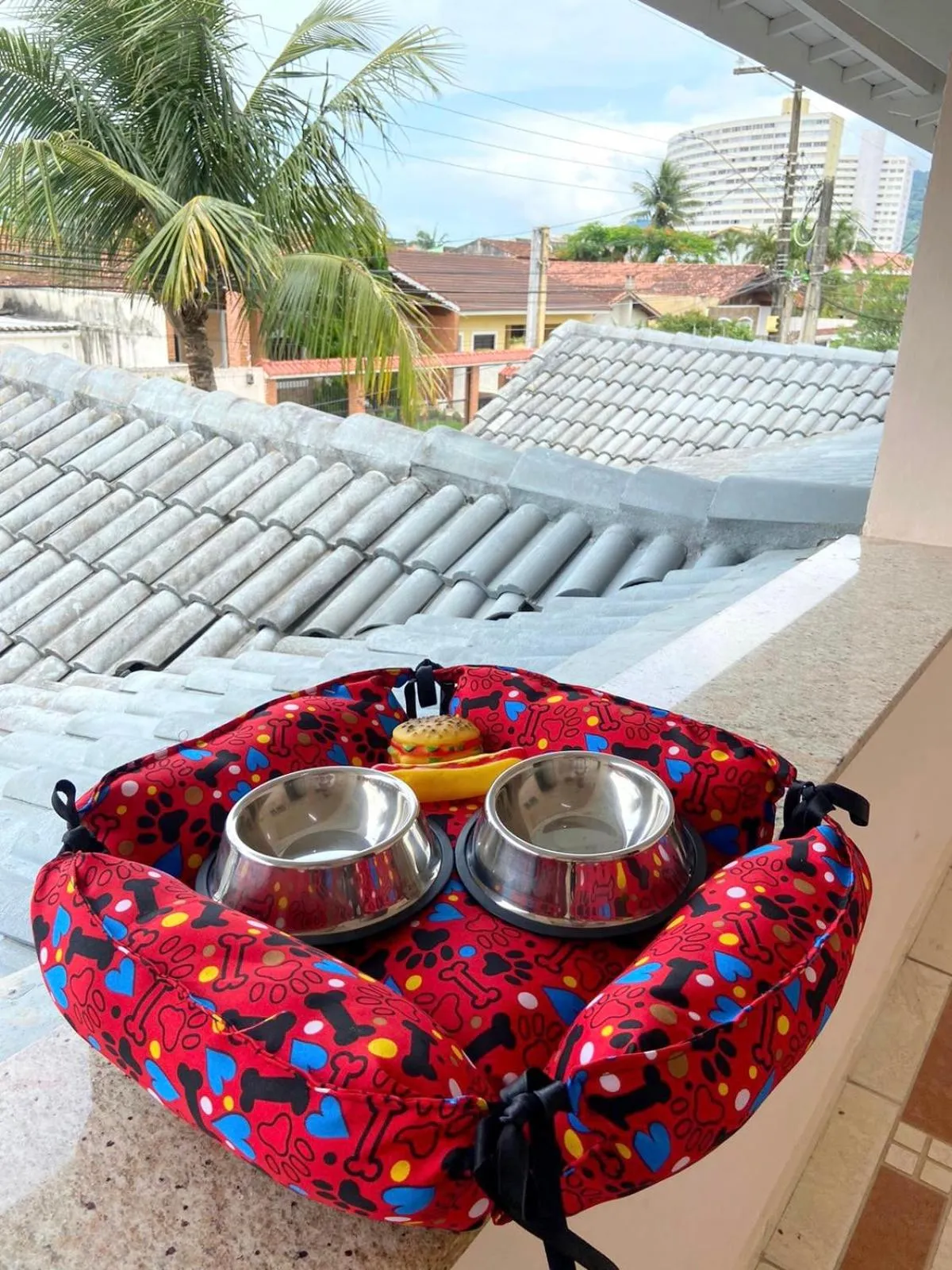 pet friendly in Surfside Suites