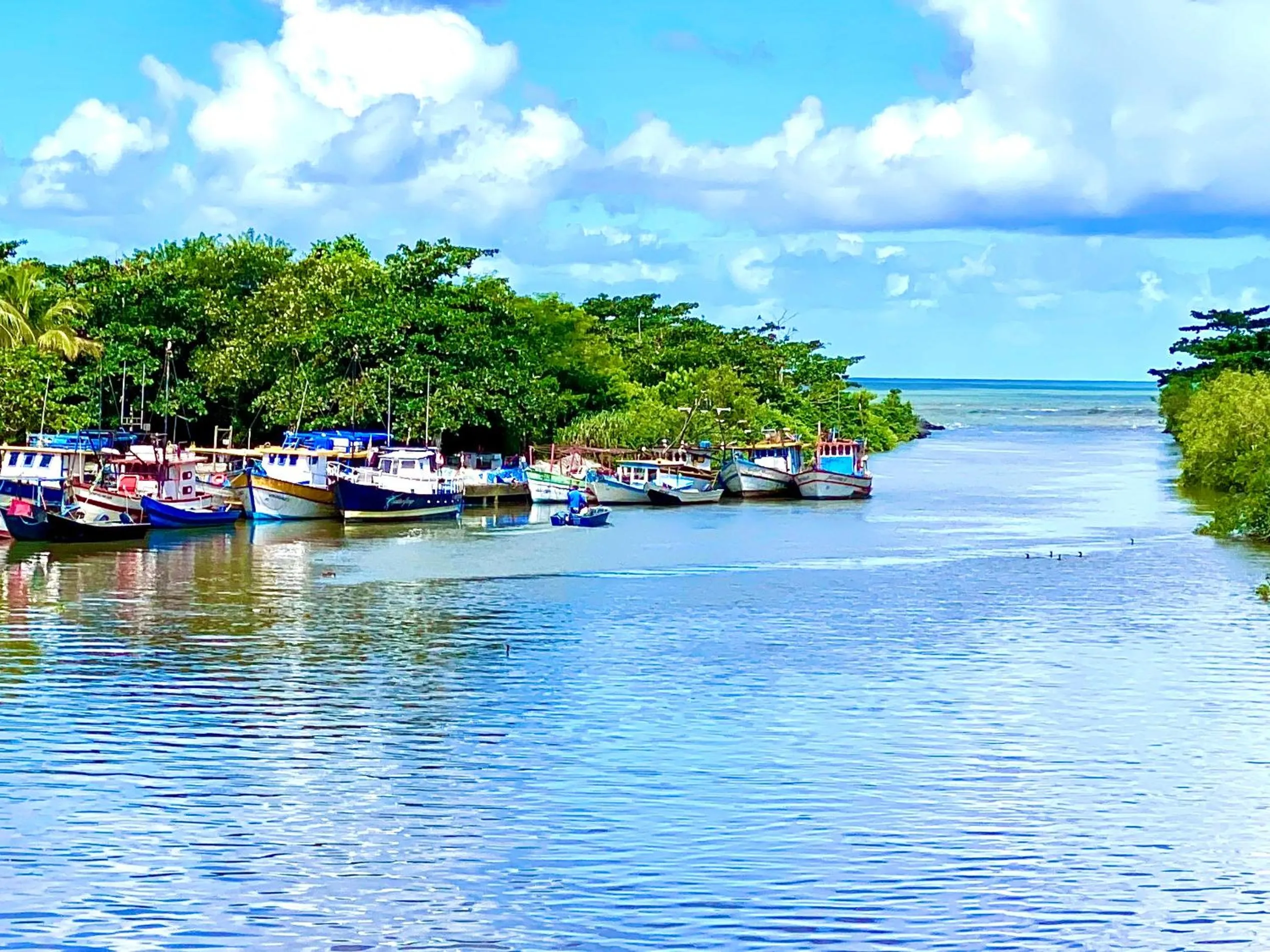 Natural landscape in Surfside Suites