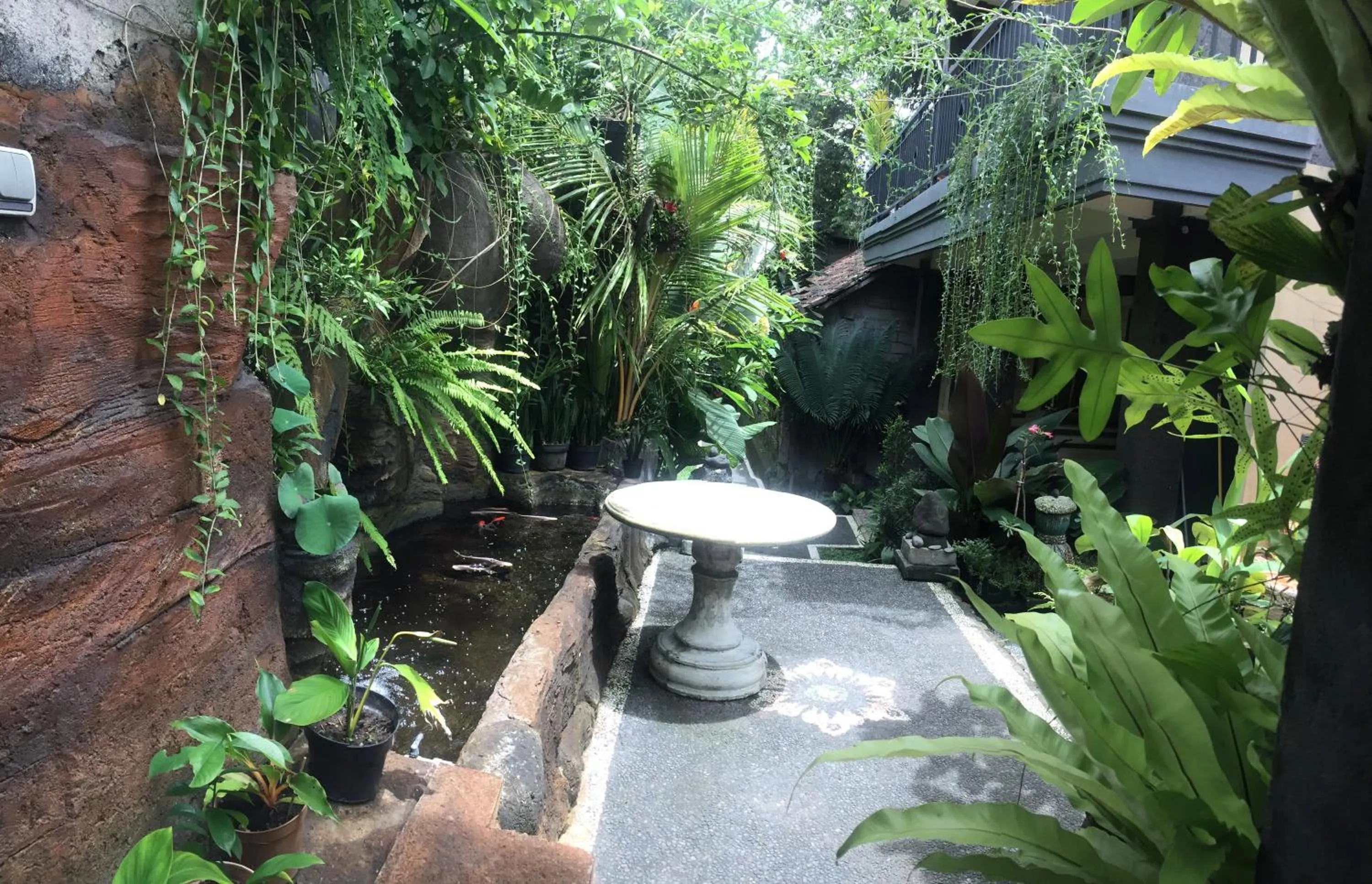 Garden in Pancer House