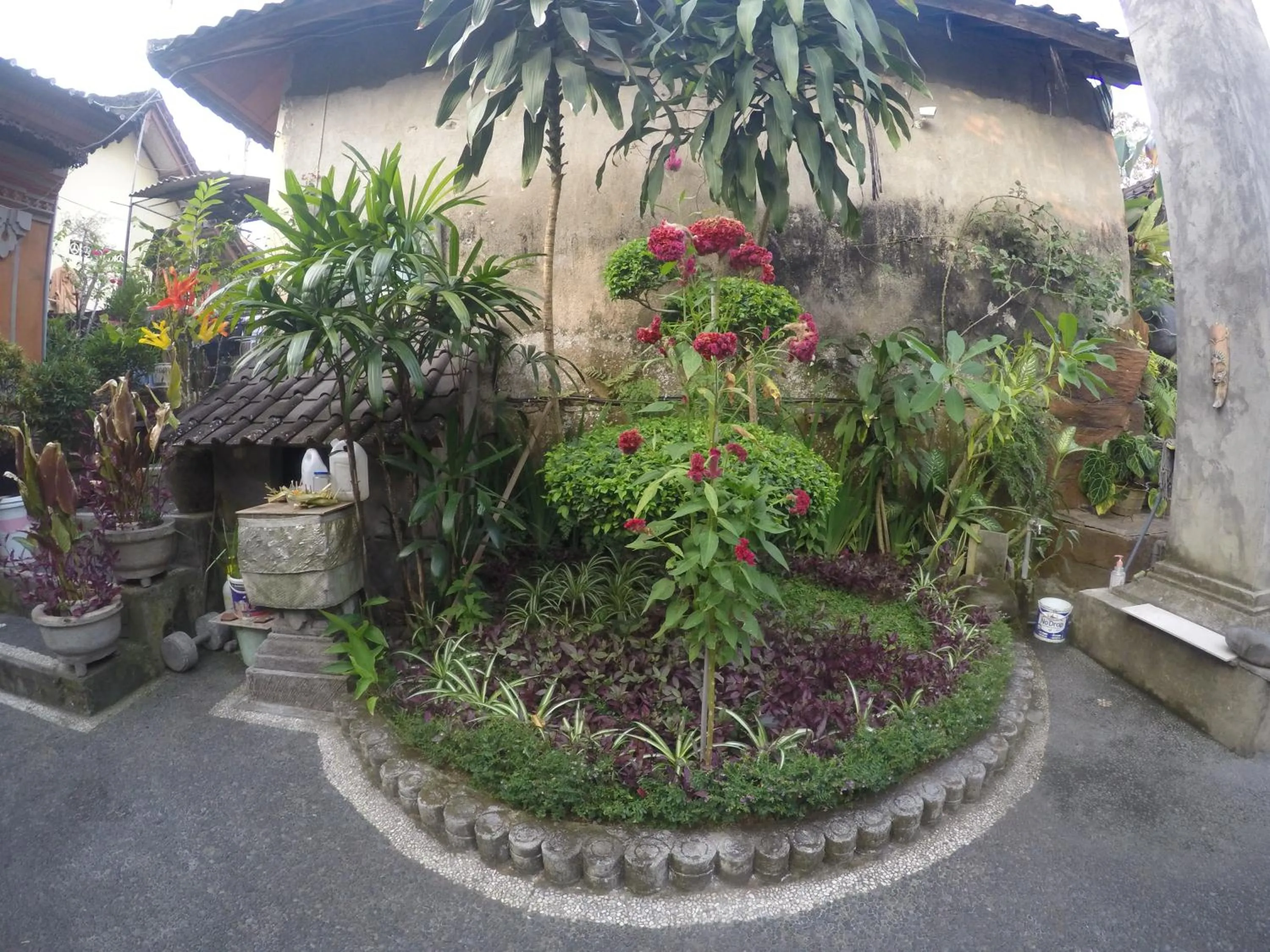 Neighbourhood in Pancer House