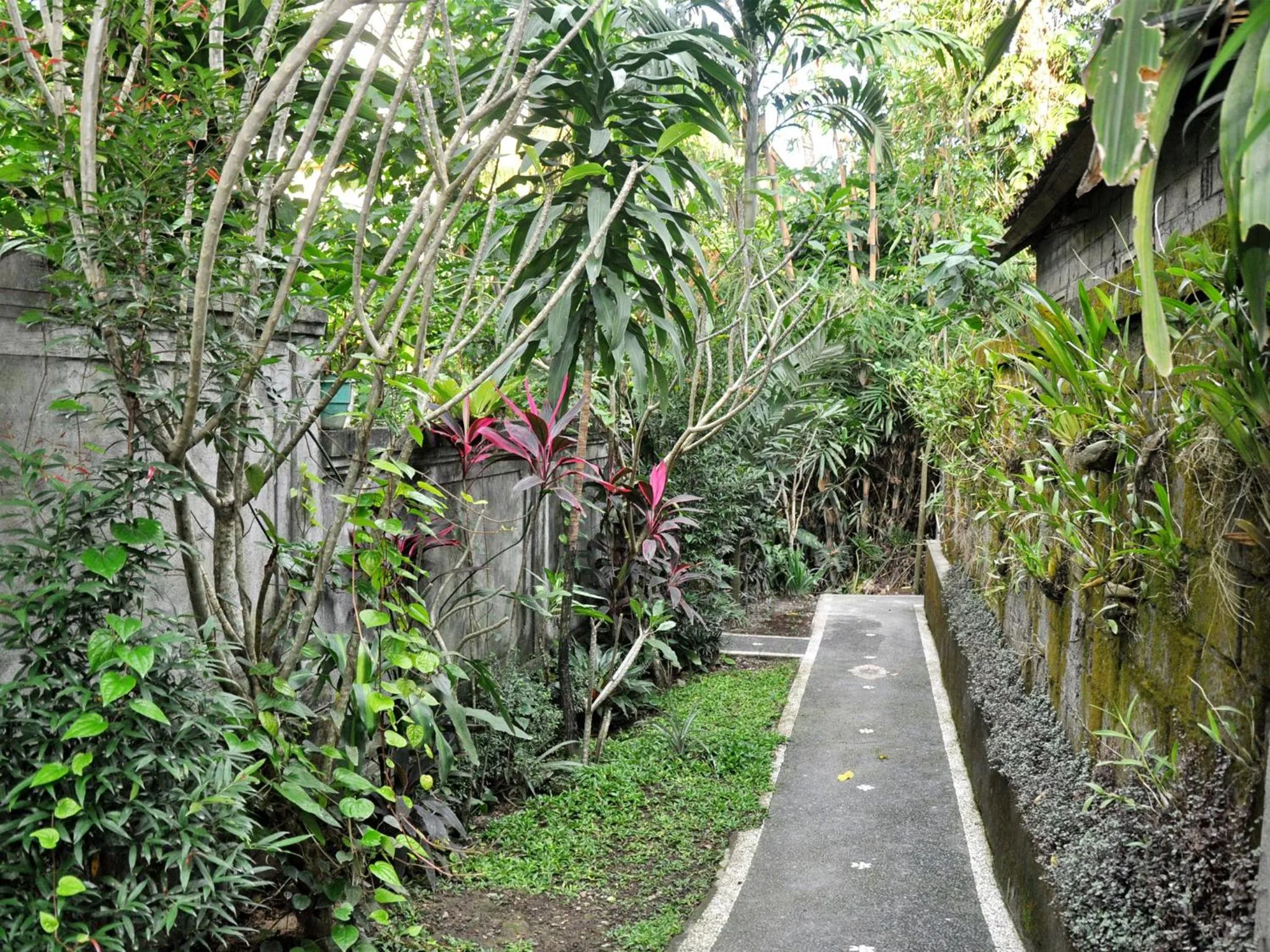 Garden in Pancer House