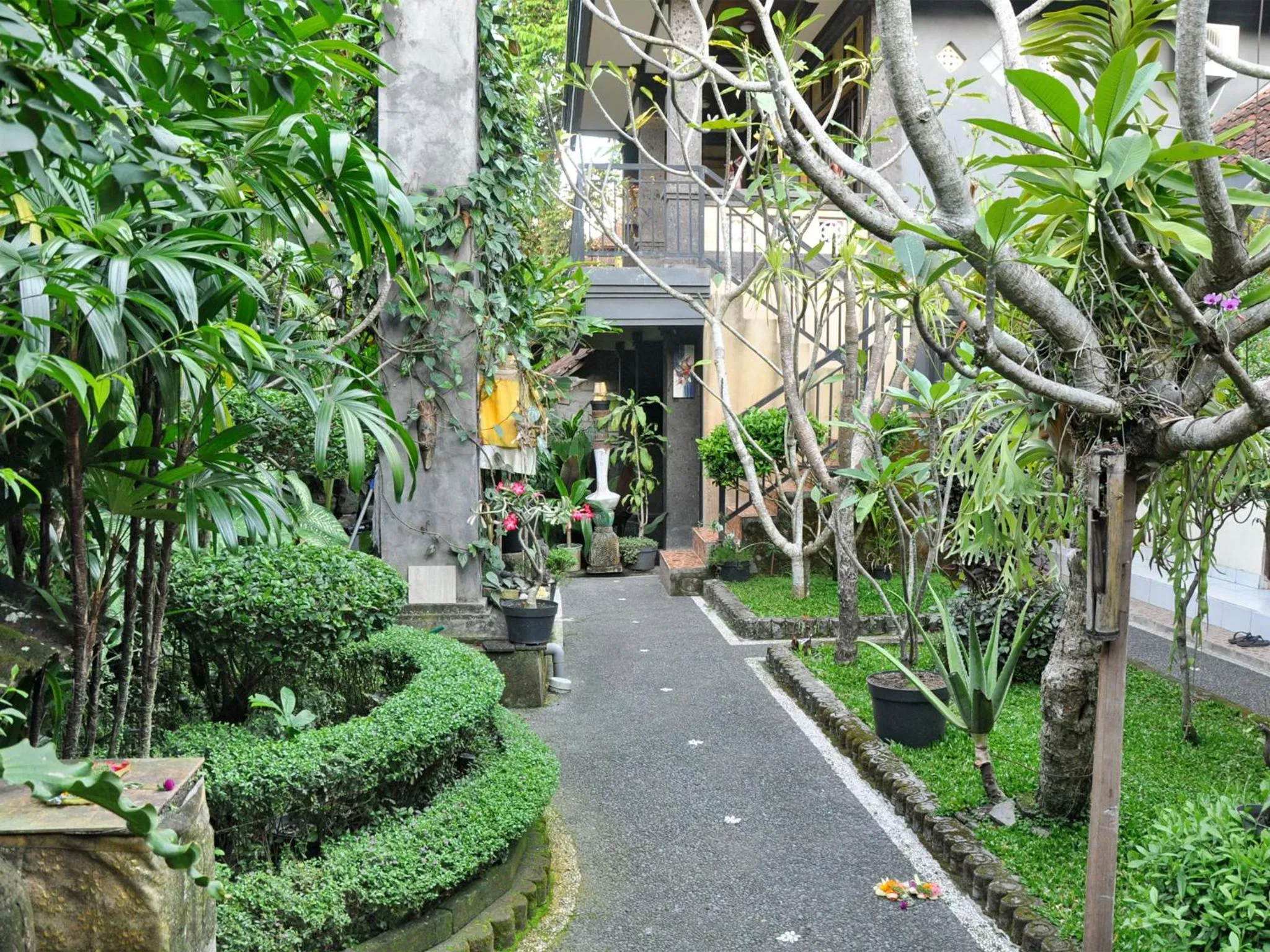 Garden in Pancer House
