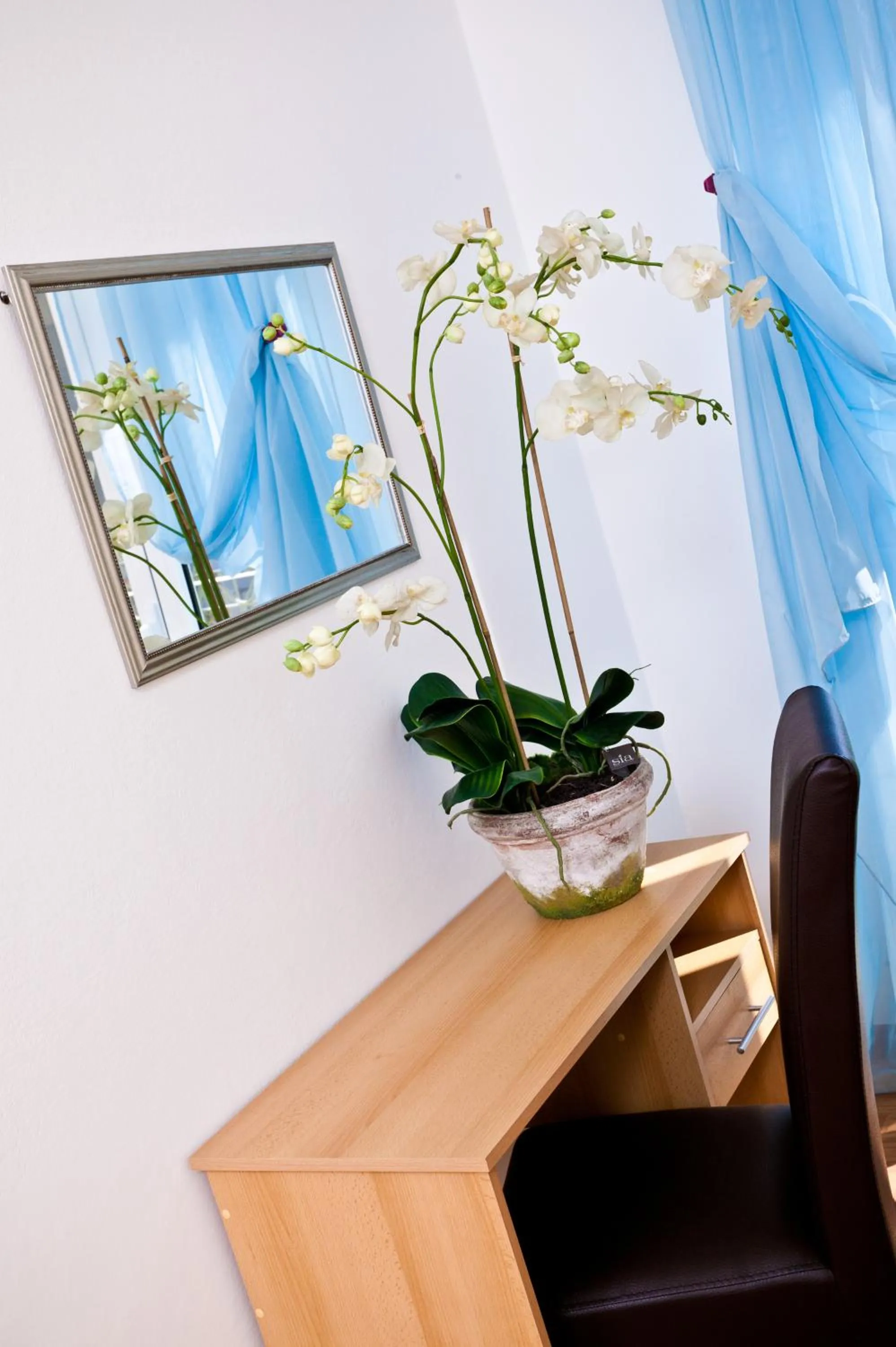 Day in Hotel Holiday Park