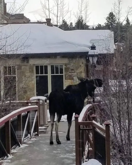 Hyatt Residence Club Main Street Station