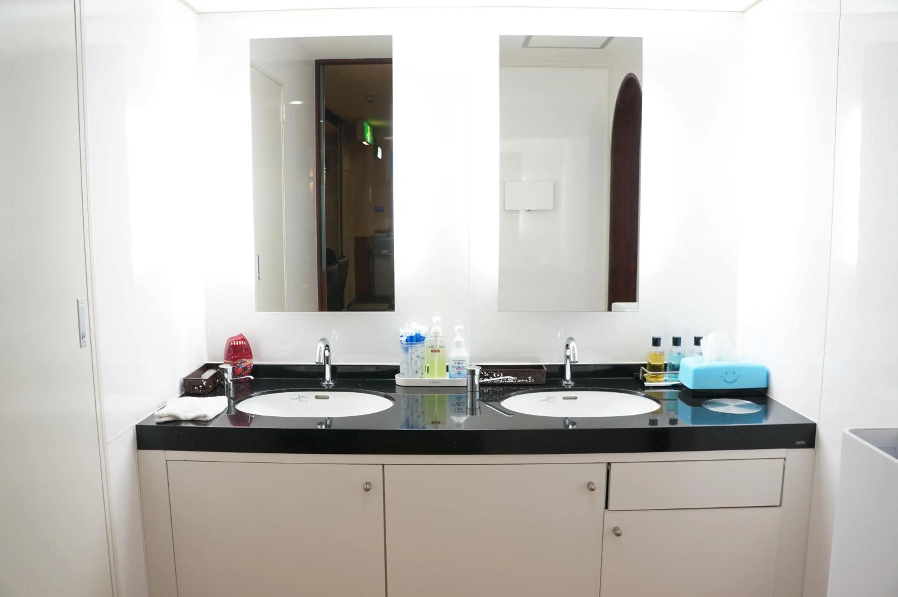 Area and facilities in Capsule Hotel 310