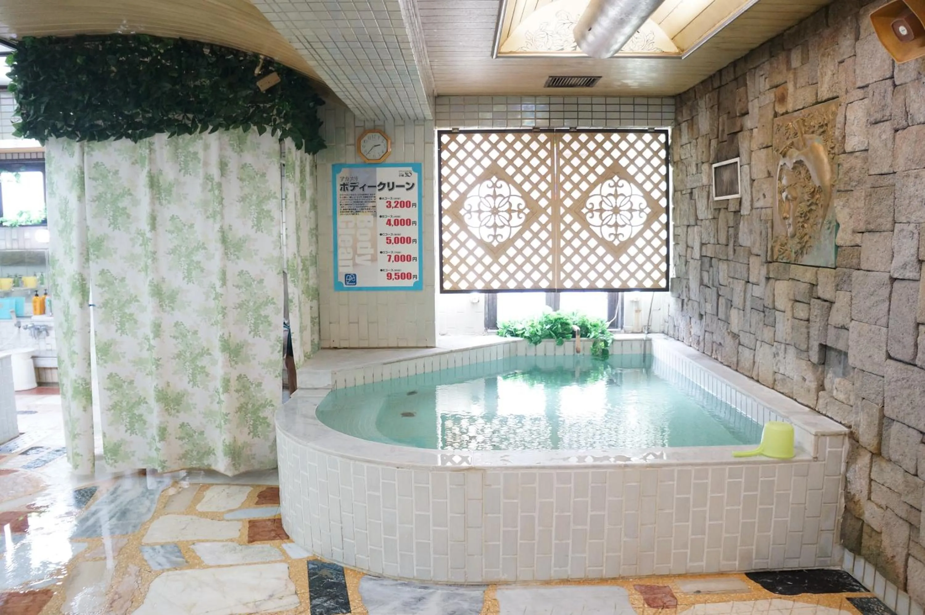 Public Bath in Capsule Hotel 310