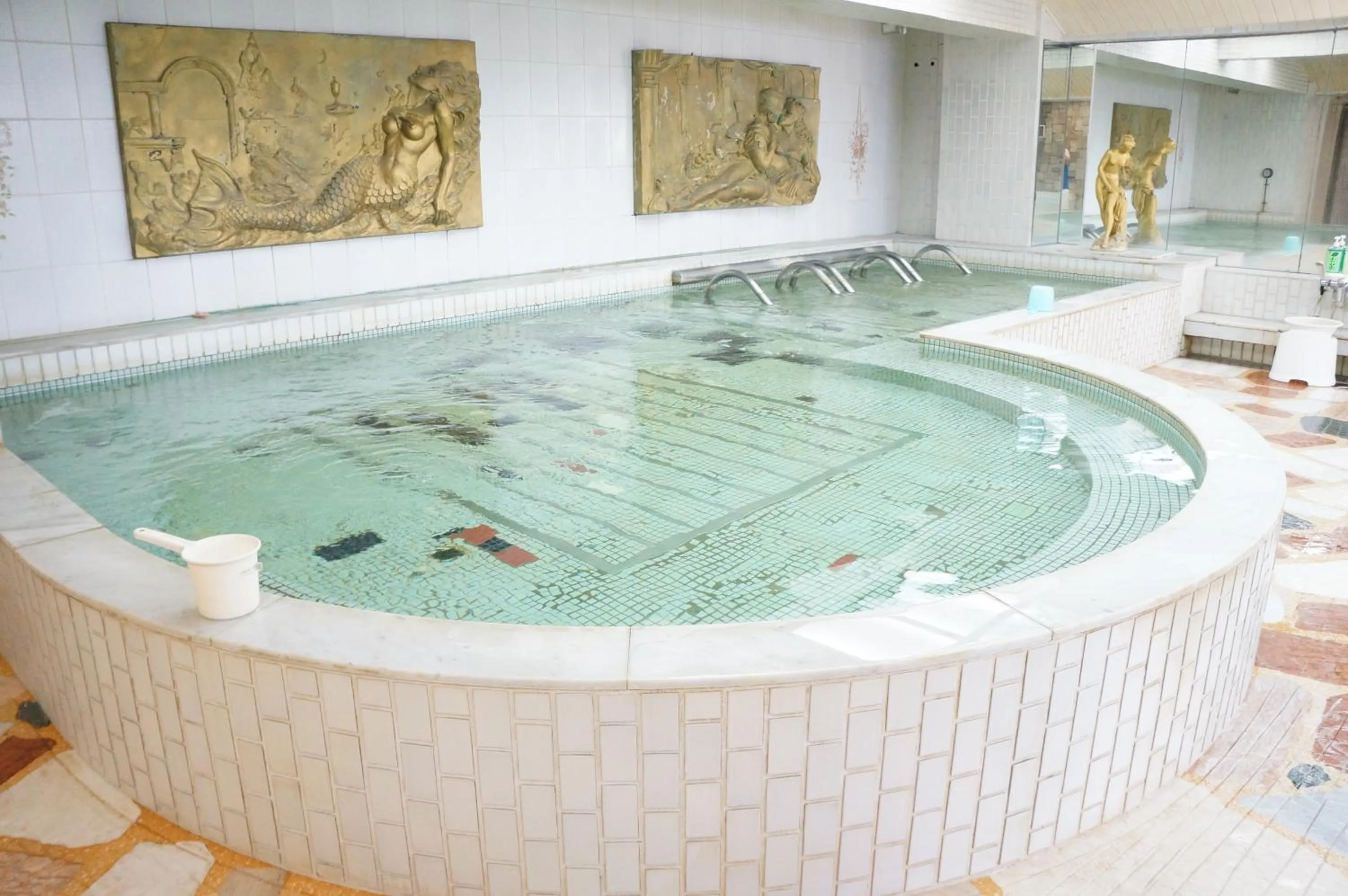 Public Bath in Capsule Hotel 310
