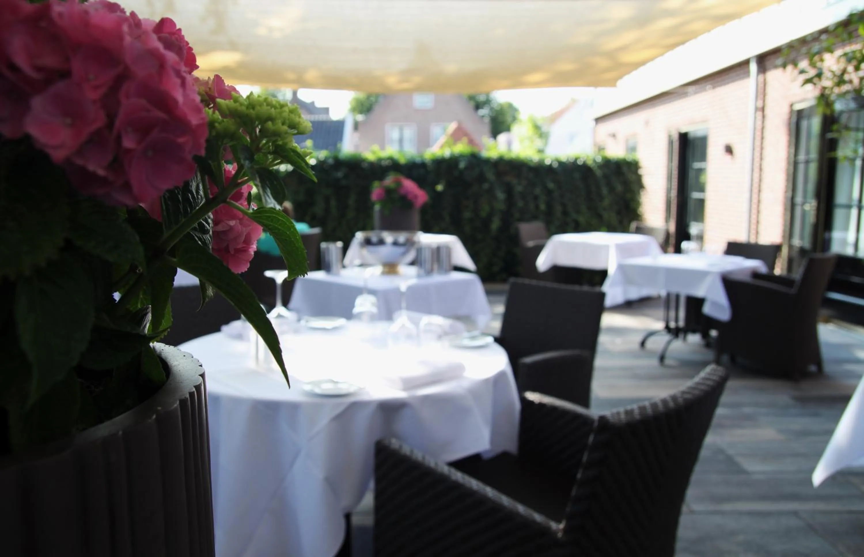 Garden in Suitehotel Posthoorn