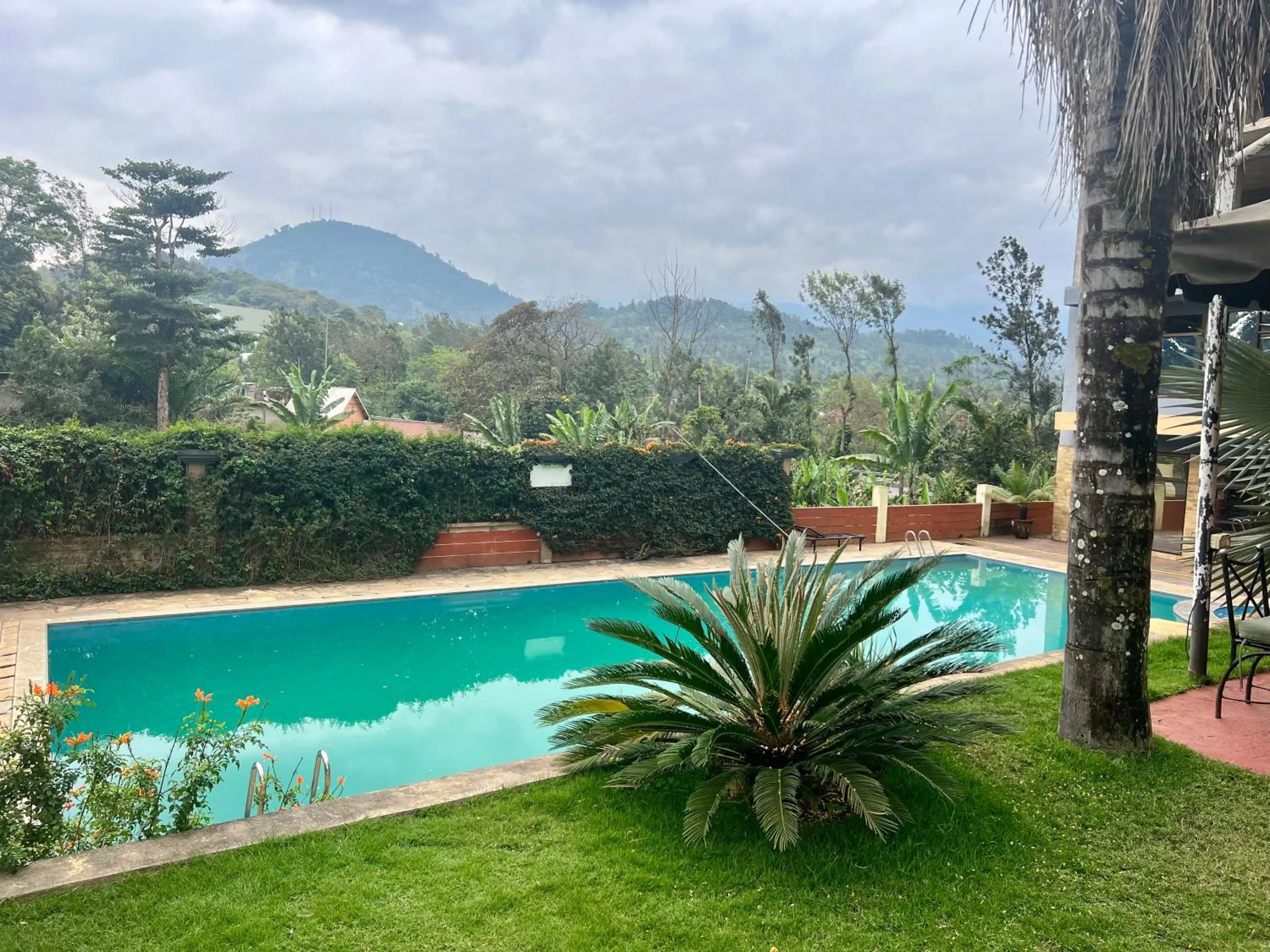 Spring in Nejobugg Palace Hotel