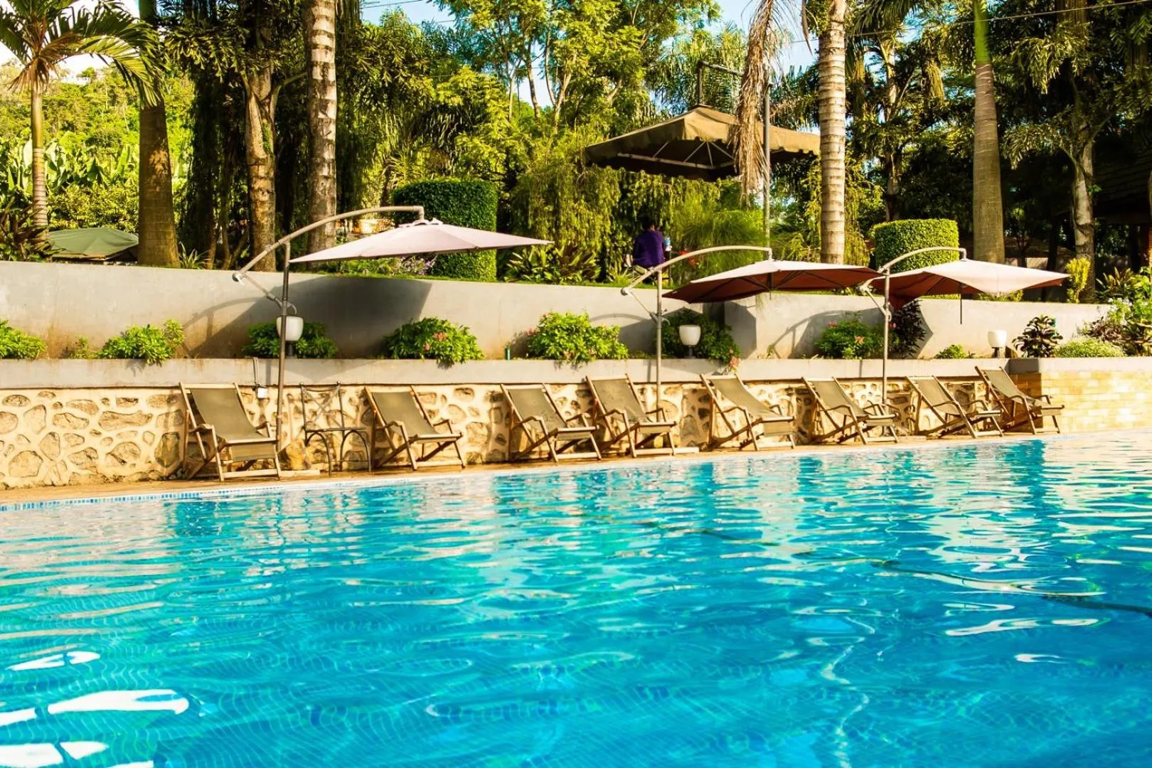 Garden in Nejobugg Palace Hotel