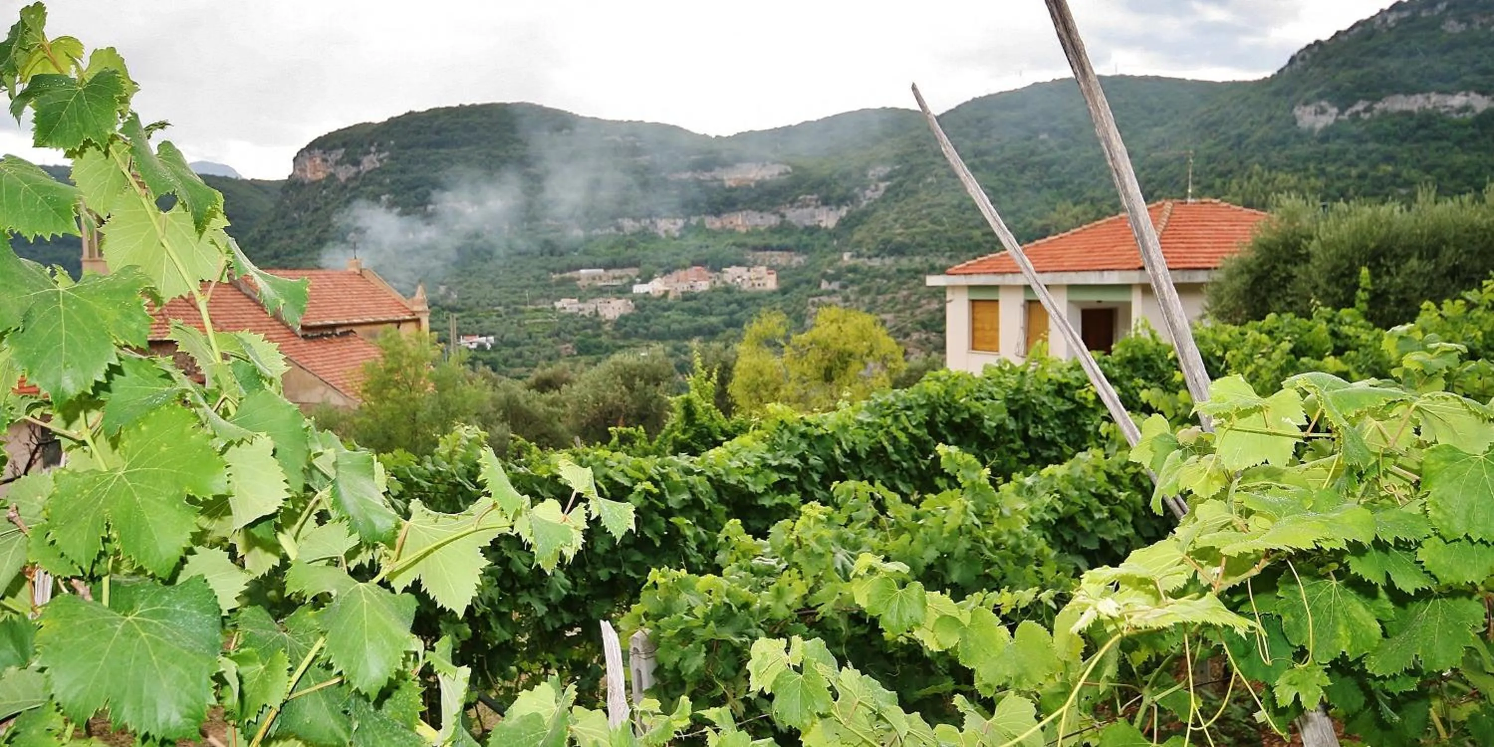 Natural landscape in Agriturismo Barilaro