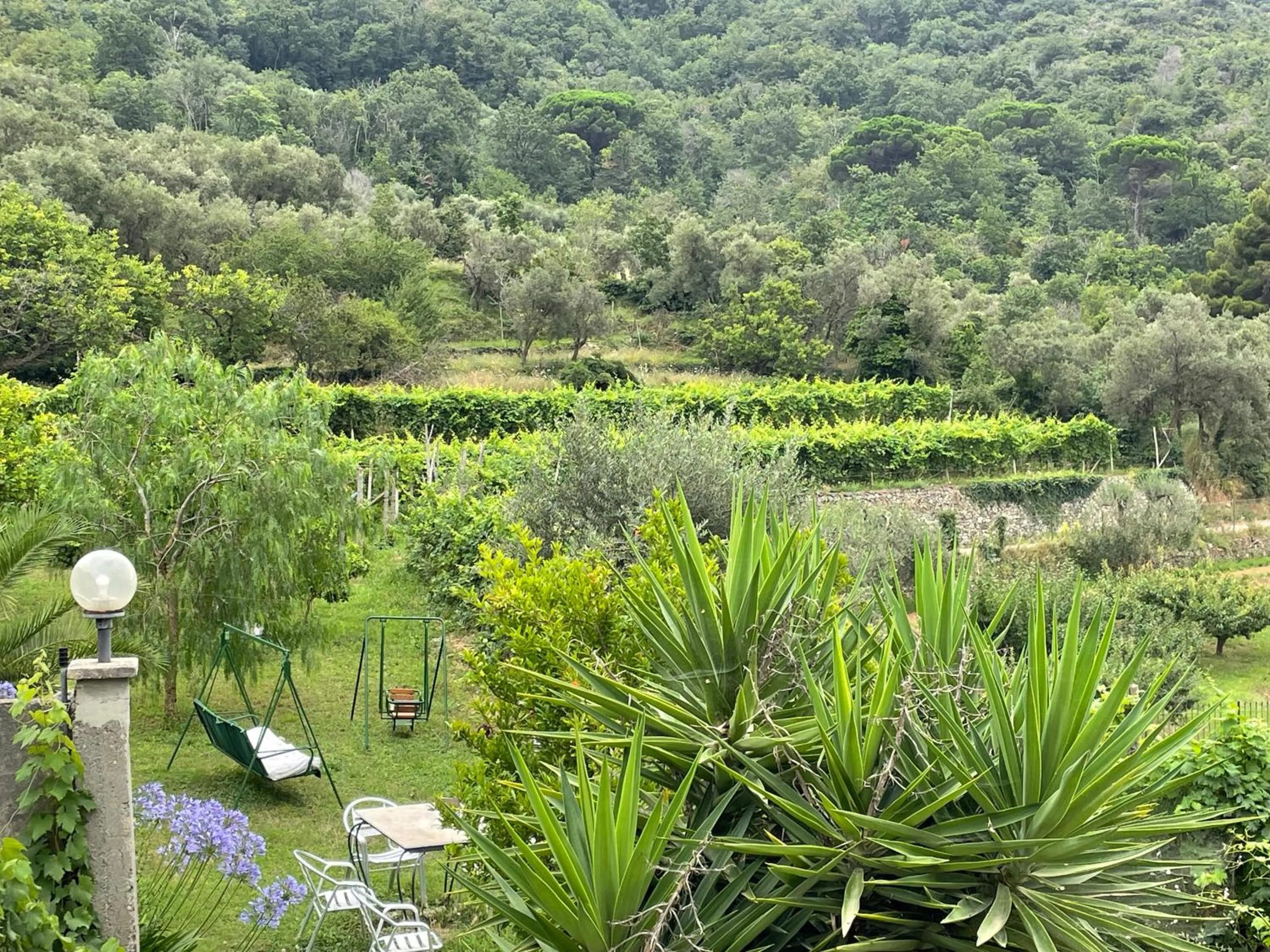Agriturismo Barilaro