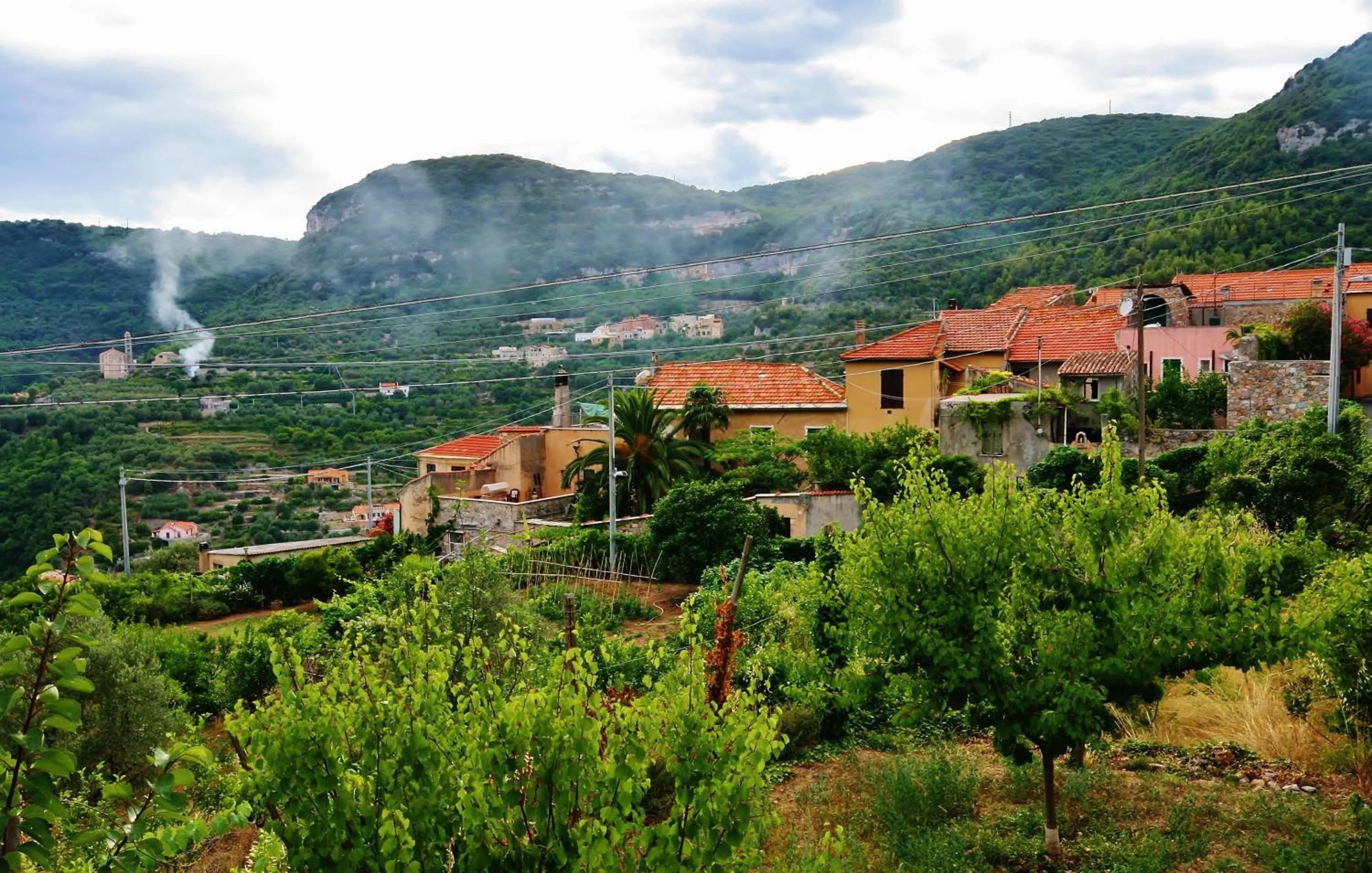 Natural landscape in Agriturismo Barilaro