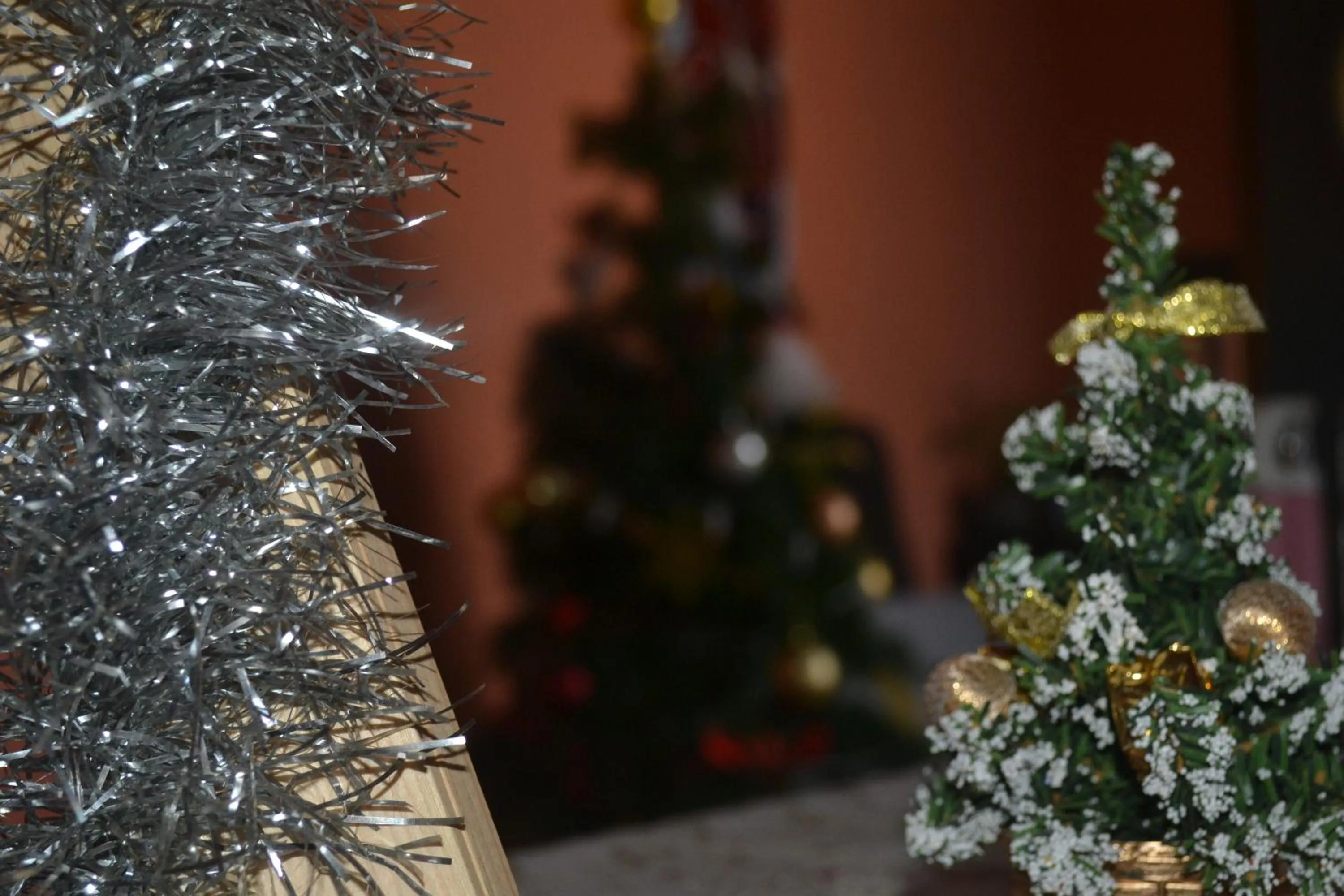 Other in Your House In Tbilisi