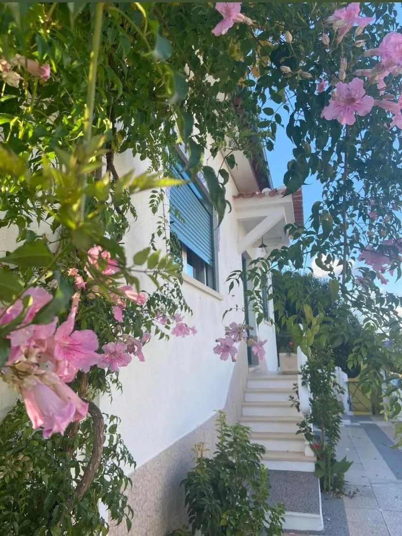 Garden in Casa de Azzancha