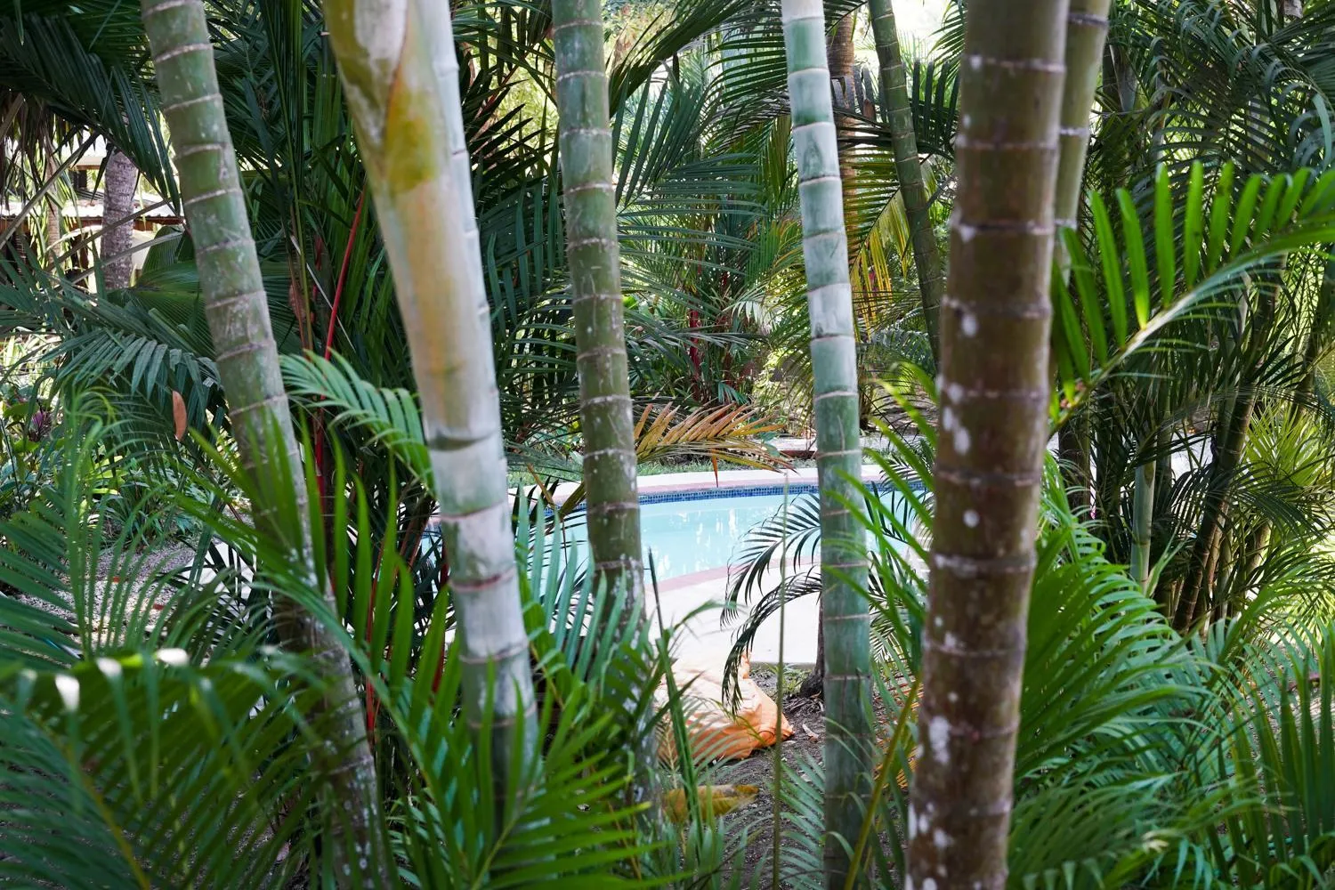 Pool view in Hotel Luz de Luna
