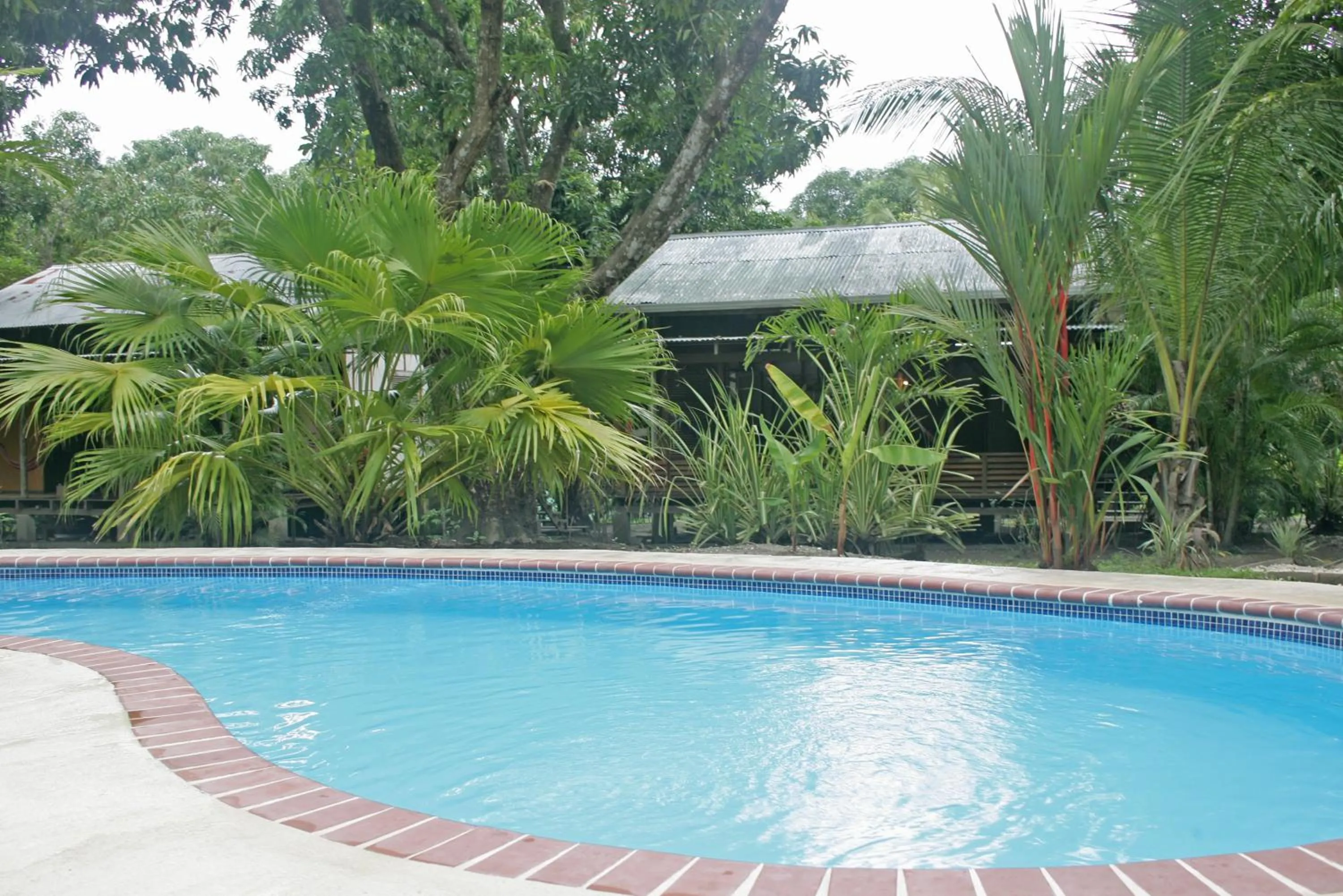 Day in Hotel Luz de Luna