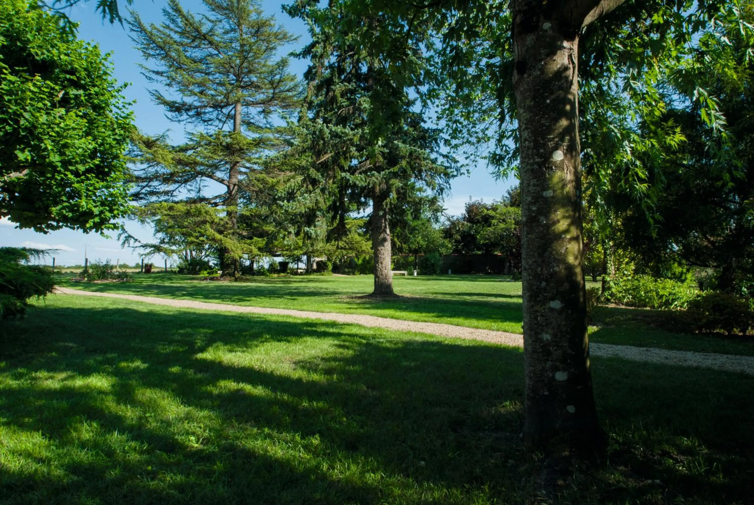 Natural landscape in Hôtel Le Haut des Lys