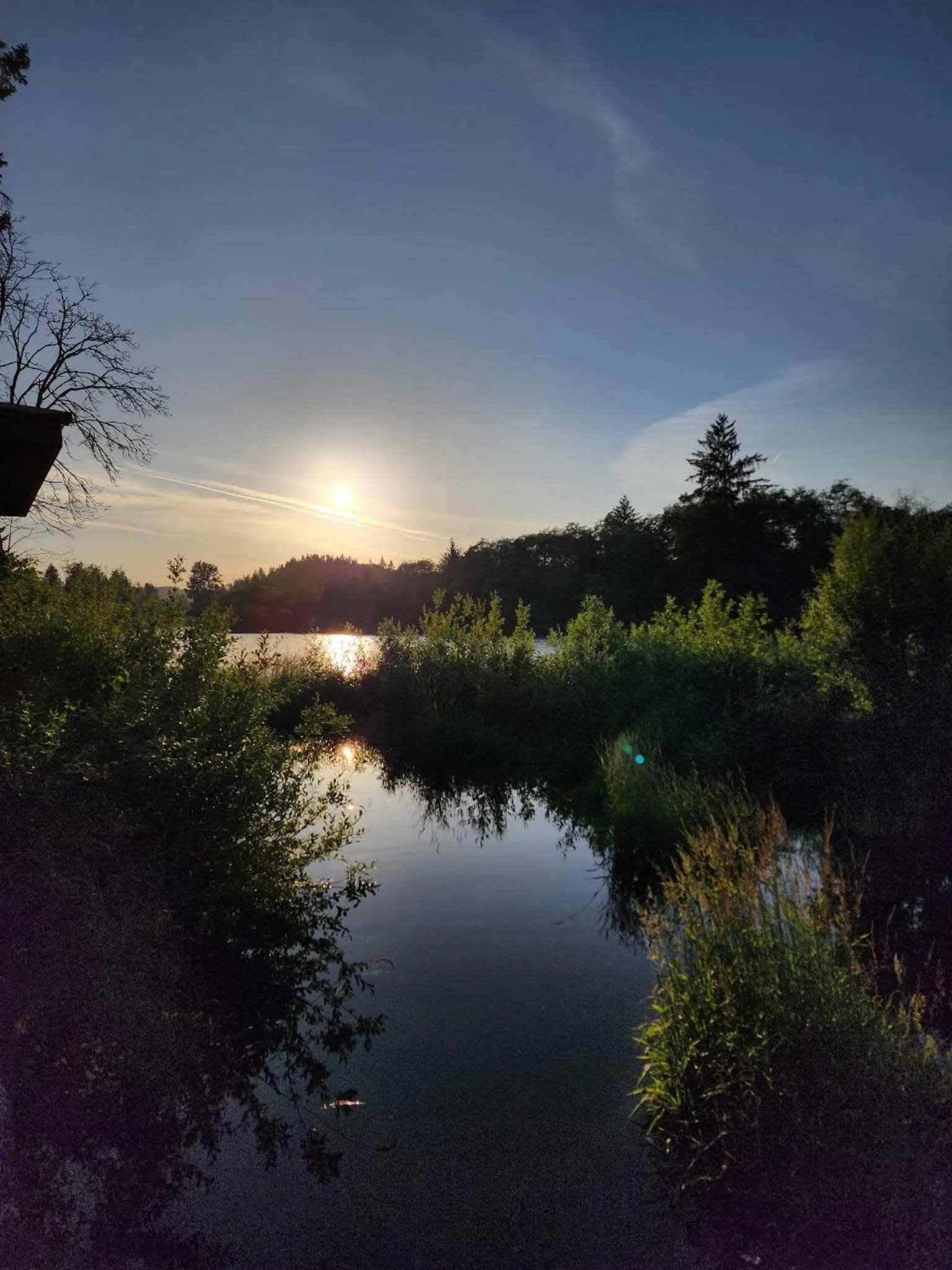 River view in Campbell River Lodge
