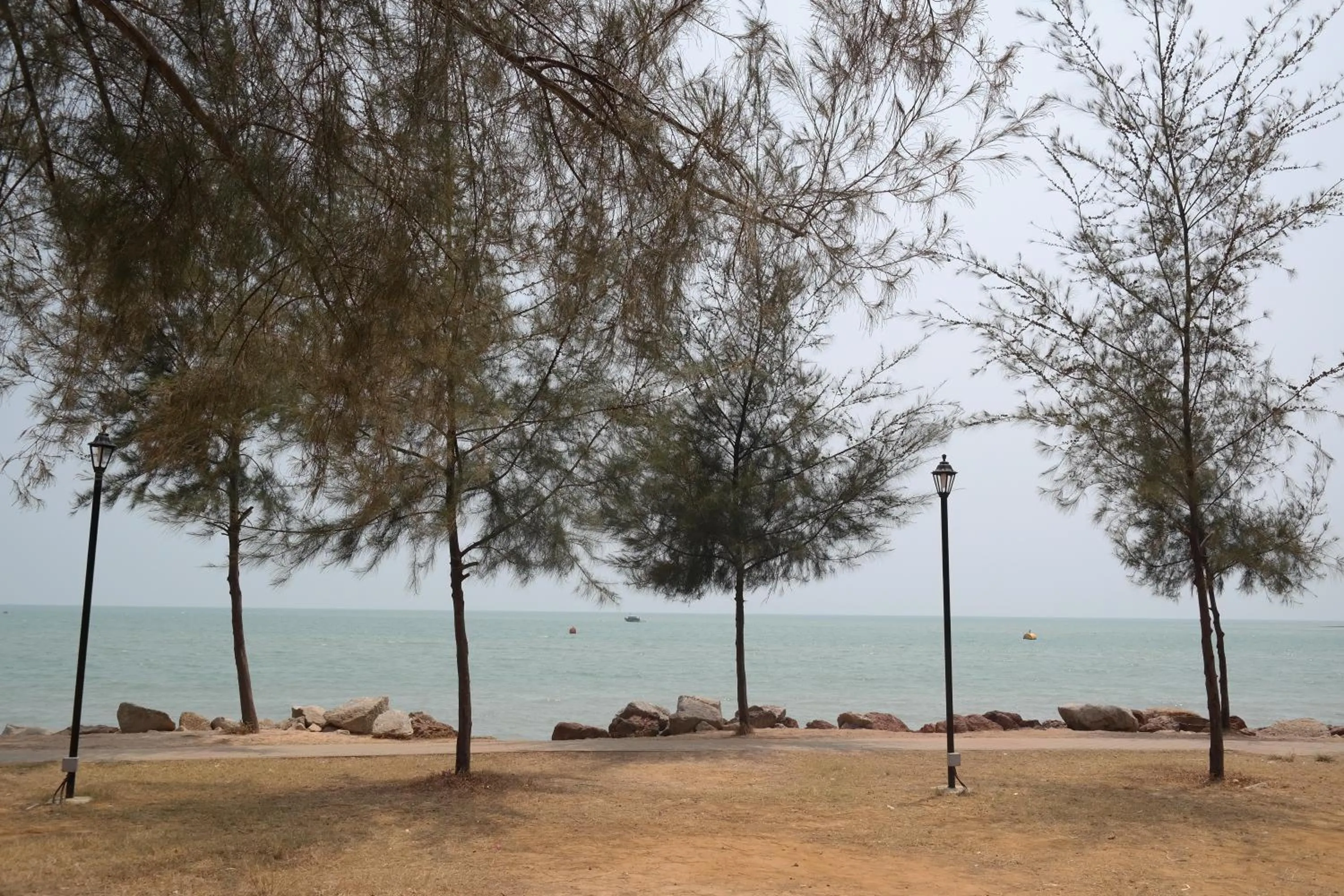 Area and facilities in Clover Hotel Port Dickson