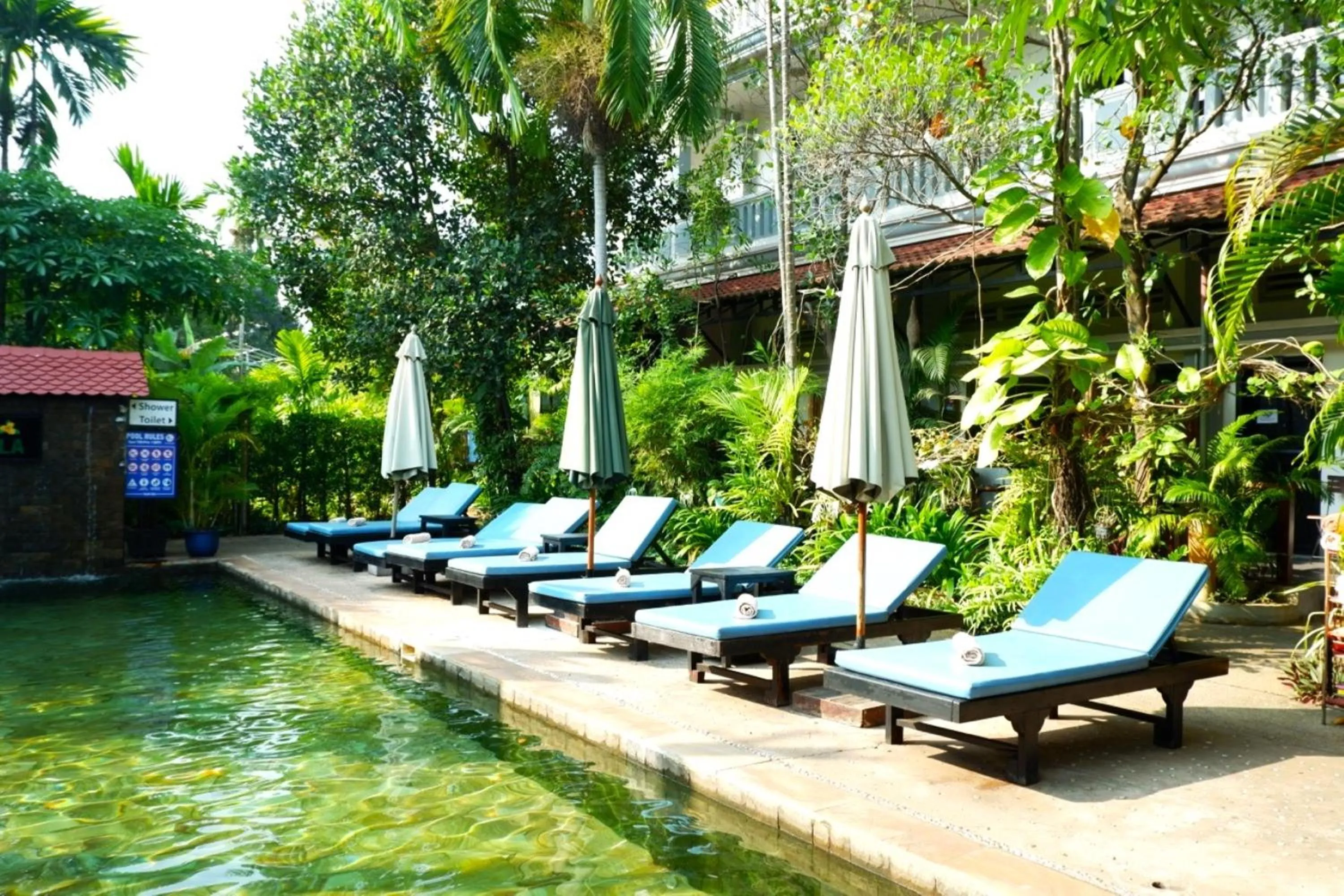 Garden view in Nary Villa